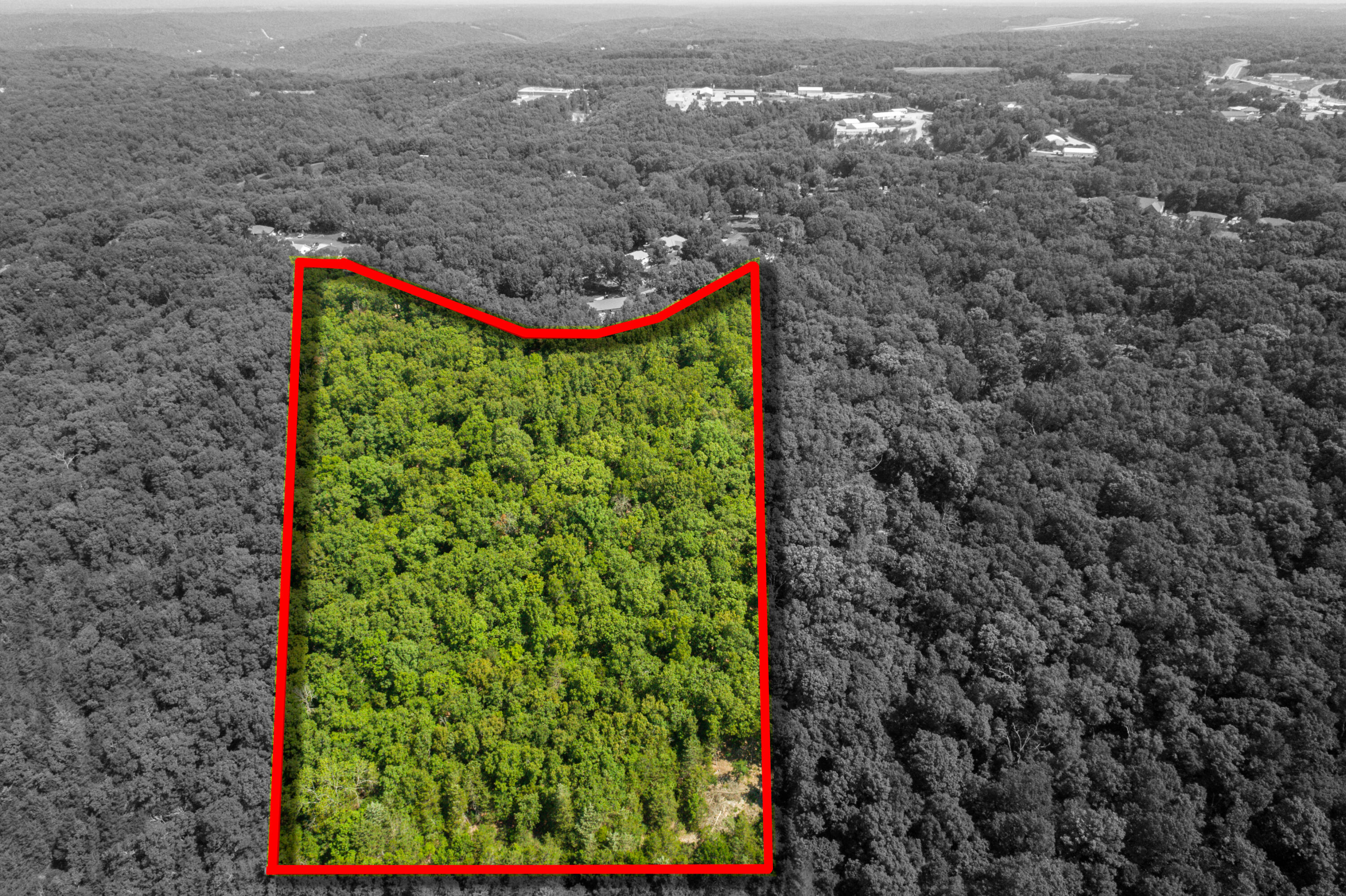 Photo 5 of 8 of 14 Acres Northwoods Drive land