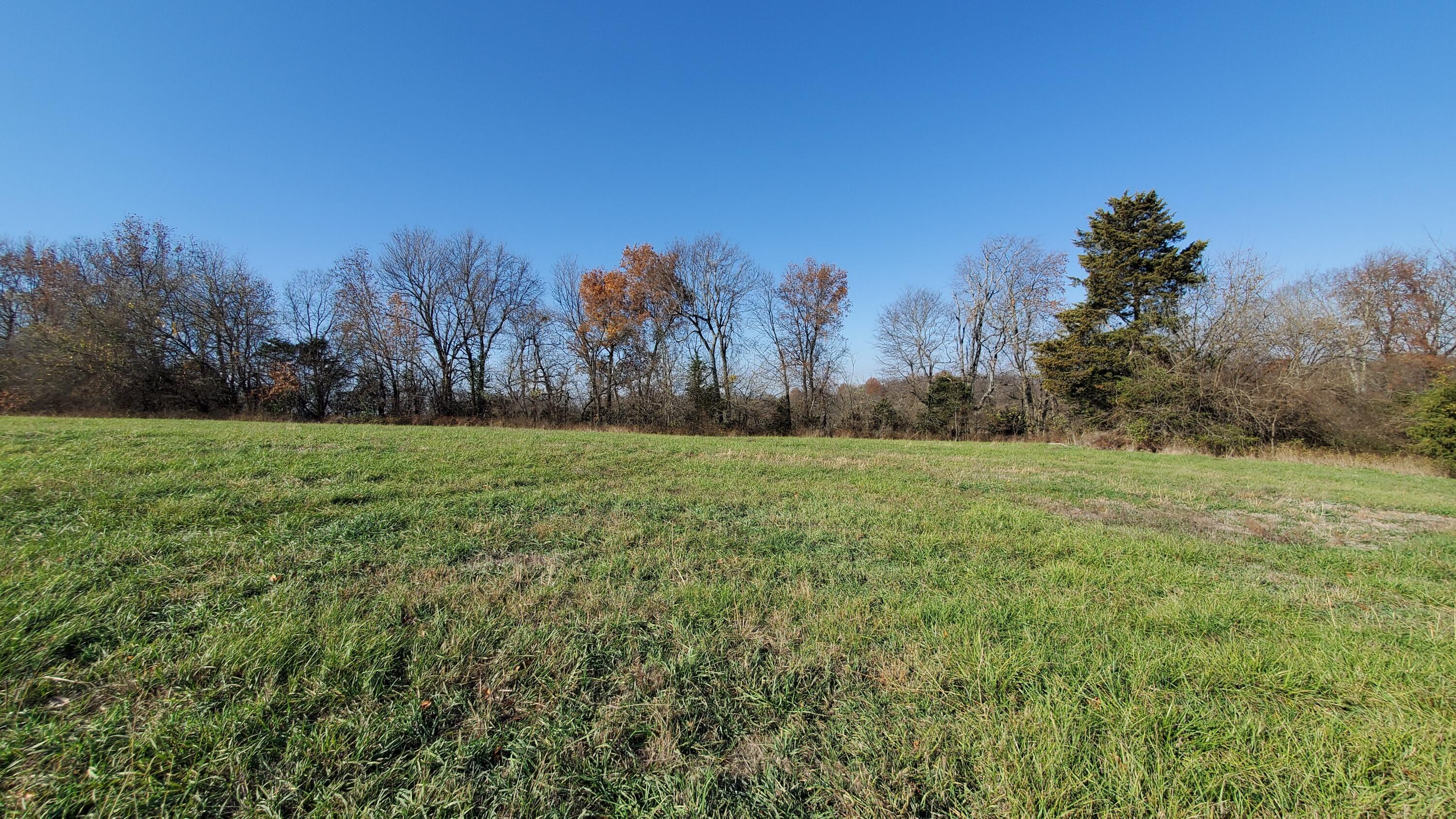 Don't miss your chance to purchase LOT 3 in the new MUSKET RIDGE development, one of the Republic Area's NEWEST and MOST UNIQUE opportunities to build your dream home.  The development features paved roads with streetlights, underground electric, and Fiber Internet service provided by AT&T. REPUBLIC SCHOOLS.More land is available.