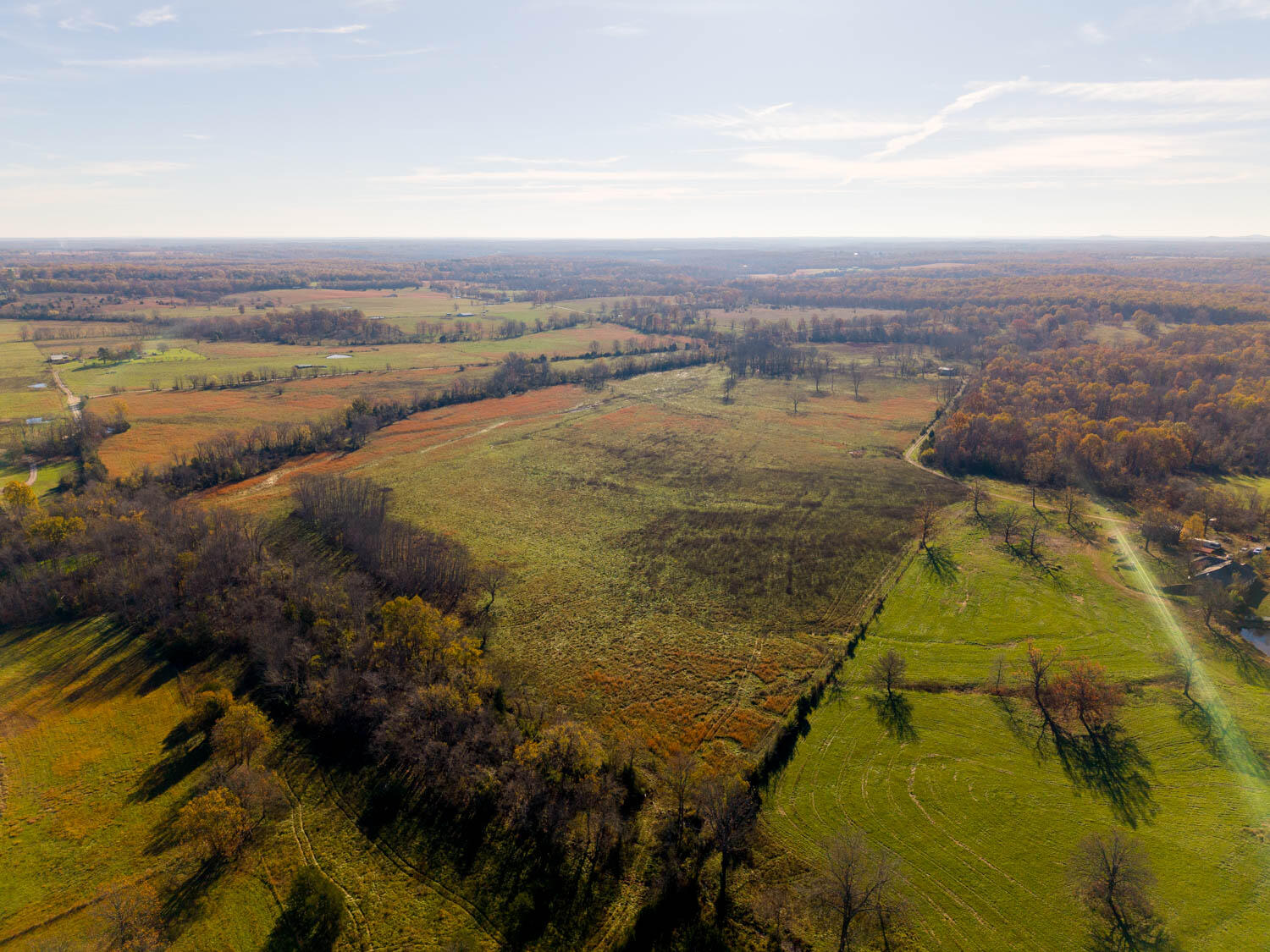 Farm and Pastureland for Sale in the West Plains Missouri Ozarks. This 144-acre farm is ready to work for you! The pastureland has been systemically fertilized and improved over the years, making it ideal for raising livestock. The owner has been picking up rocks off the property for 30 years. It's fully fenced and cross-fenced, set up perfectly for cattle or horses. Water is no issue here, with a reliable well, livestock waterer, two ponds, and a natural spring that feeds a creek running through the property. The 40x45 hay barn includes a holding pen, corral system, and squeeze chute--everything you need to make livestock handling easier. Located just outside West Plains, this farm is near excellent schools, medical facilities, and a variety of shopping and dining options. The property offers the peacefulness of rural living while being within a short drive to outdoor recreation, including Mark Twain National Forest, hiking trails, and rivers such as the North Fork, Current and Big Piney. It's the perfect combination of work and lifestyle in the Ozarks.