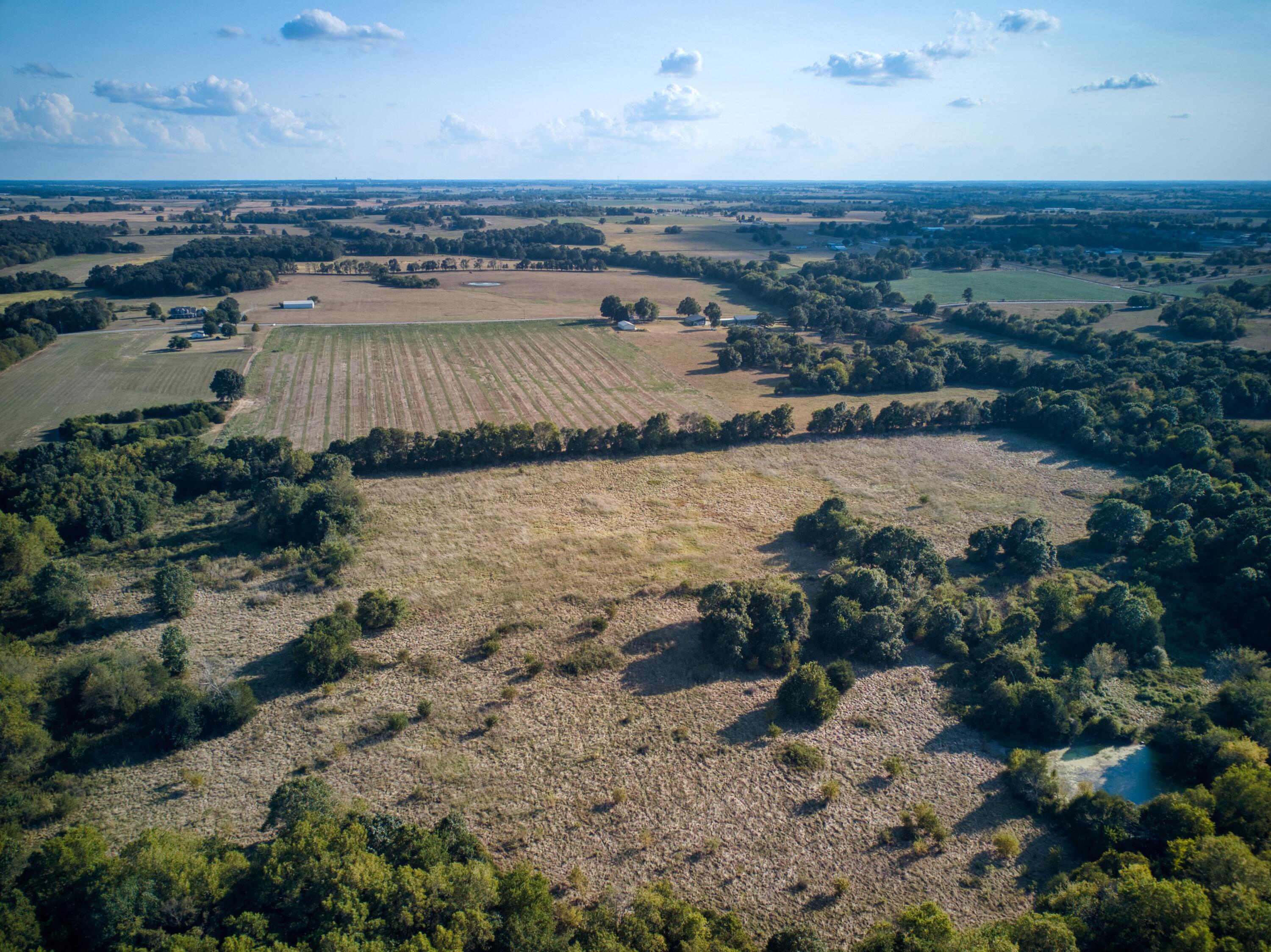 Great 80 acres adjacent to the city limits of Monett.  Seldom does a large parcel of land become available that is so close to Monett but unrestricted and convenient.  Large mature trees and some pasture make this the perfect property for a new home or a subdivision in the country.  The property is south of the Lakewood Subdivision in Monett.  There is no easement to this property.