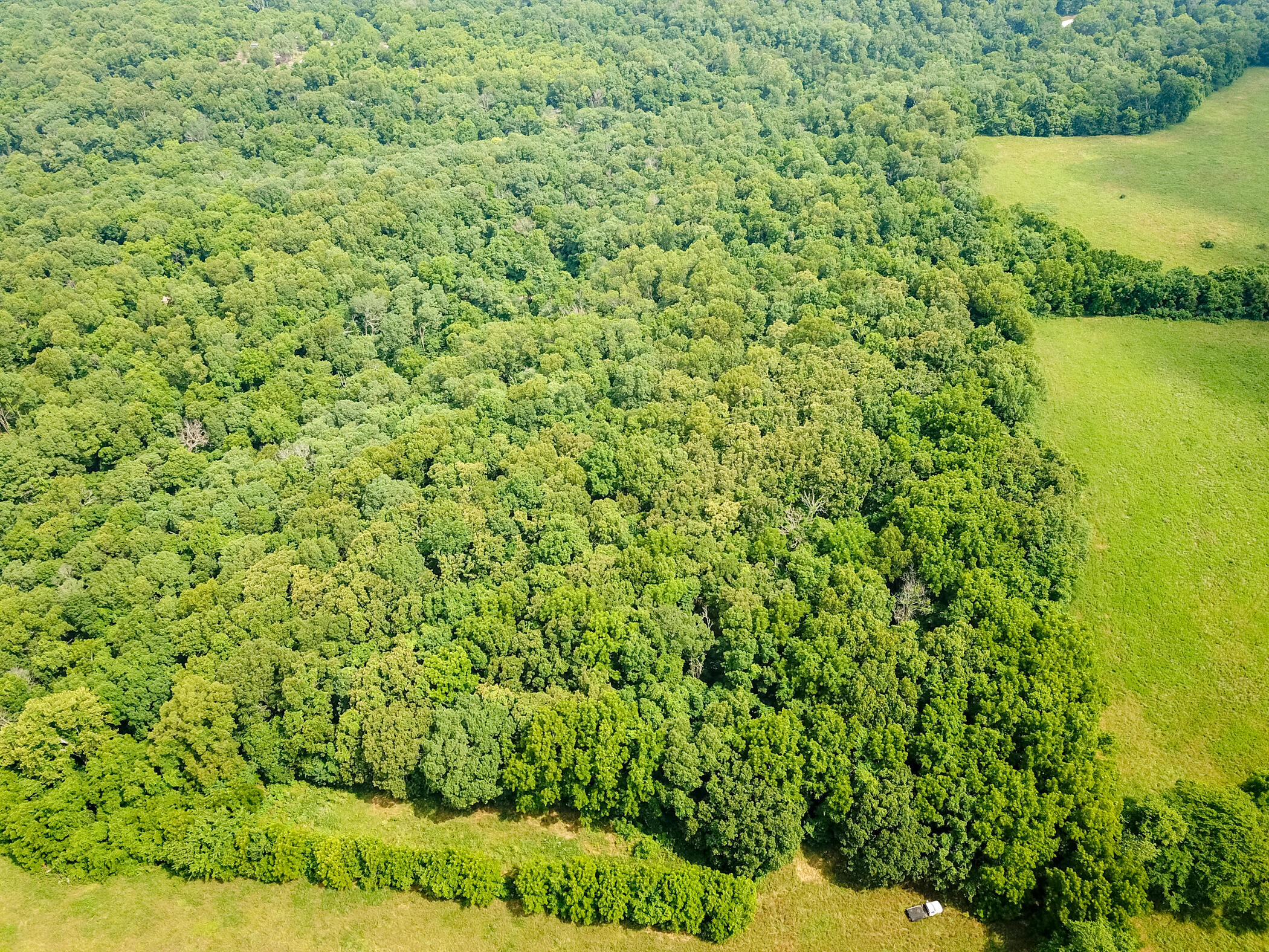 Tucked up into the northeast corner of Stone County, you'll find this remarkable tract of timber and gentling rolling hills. If you've been looking for the ultimate in seclusion and privacy that's just a short drive from Springfield & Nixa, you'll definitely want to take a hard look at this parcel. The seller has recorded an ingress/egress easement almost one half mile long, providing a stunning approach down a tree-lined private lane that soothes the mind and refreshes the soul. You'll leave the hustle and bustle and stress of the city behind as you roll toward these 10 bucolic acres. Once on the site, you'll be enchanted by the beauty and serenity all around, from the towering oaks overhead to the redbuds and dogwoods in the understory. There are multiple building sites, allowing you to seek out the perfect location for your new home or weekend getaway cabin. The timber is comprised of mixed age hardwoods, predominantly oaks and hickories, and numerous deer trails crisscross through the woods, offering plenty of opportunity to view them from the porch or the treestand. And as an added bonus, the topography on the north end of the parcel offers the possibility of a small pond for recreation and aesthetics.There's much to love about this parcel, and you've got to see it for yourself to truly appreciate all that it has to offer. With just a short drive from Springfield, Nixa, and Republic, it's a great location