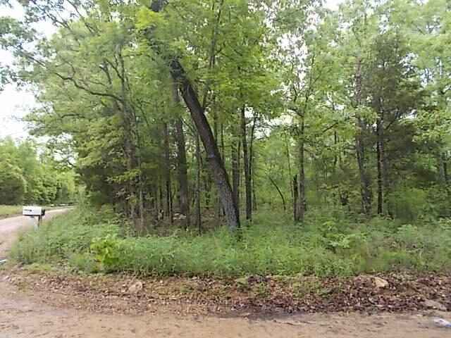Lot has easy access with maintained county road. Situated on high point with expansive vista views. Dream Home Ready with a level/clear building envelope - site nested in the woods. Can walk to Blue Ribbon trout fishing and canoeing. Or take your side by side! North Fork River access for land owners in this development. Lot sits away from river so flooding isn't an issue. Only 7 miles to Dawt Mill. Approx. 15 miles to Hodgson Mill or Zanoi Mills. Close to Mark Twain Forest. If hunting and fishing is your life of leisure, this property is for you.....