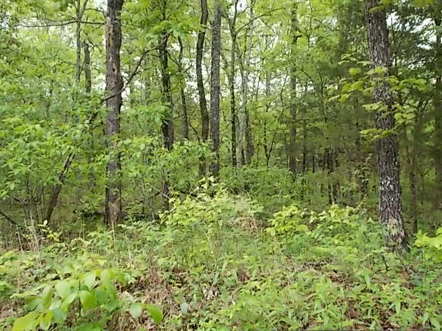 Ozark-Not in List - Land