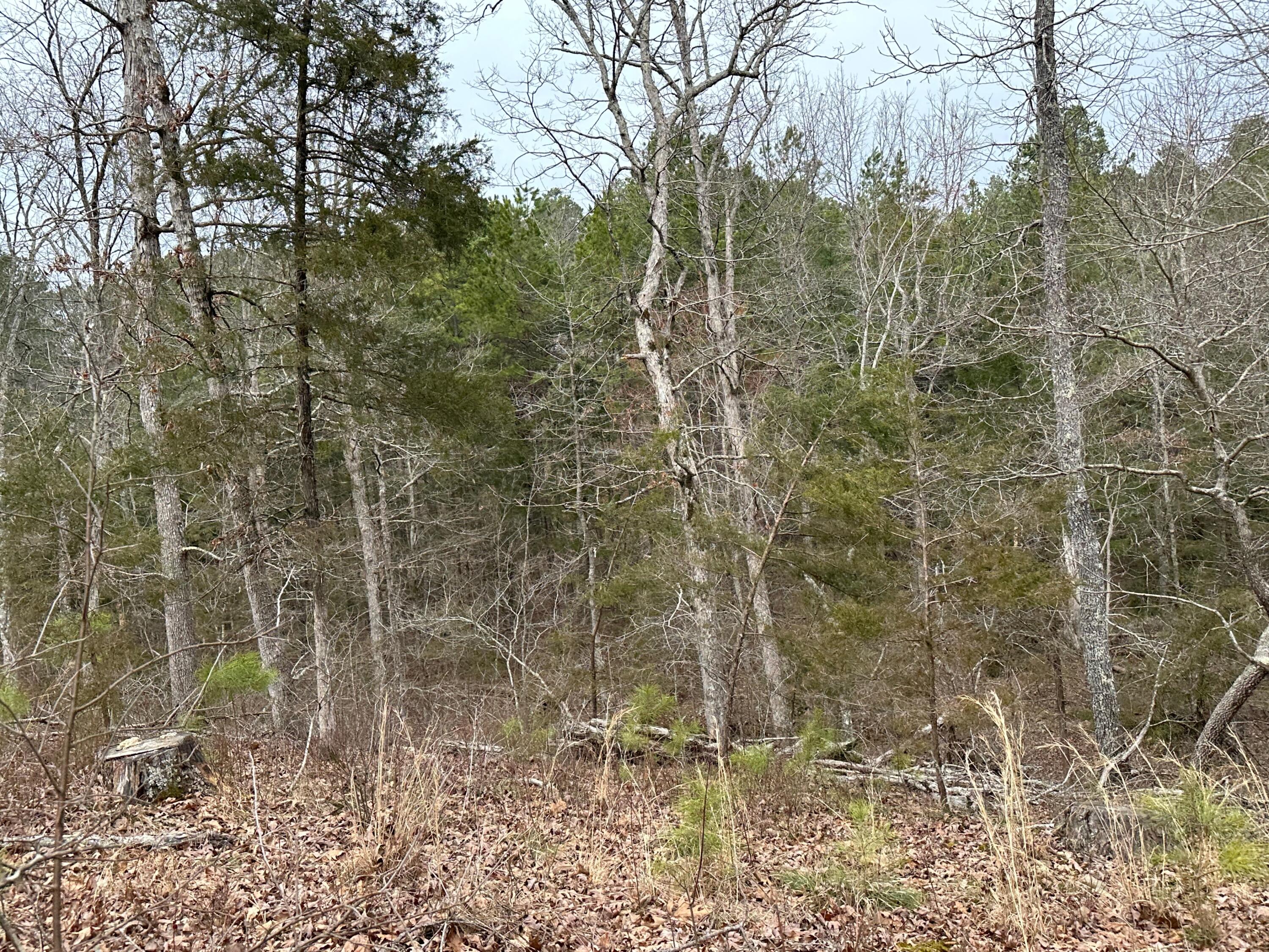 Ozark-Not in List - Land