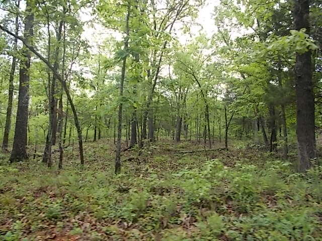 Ozark-Not in List - Land