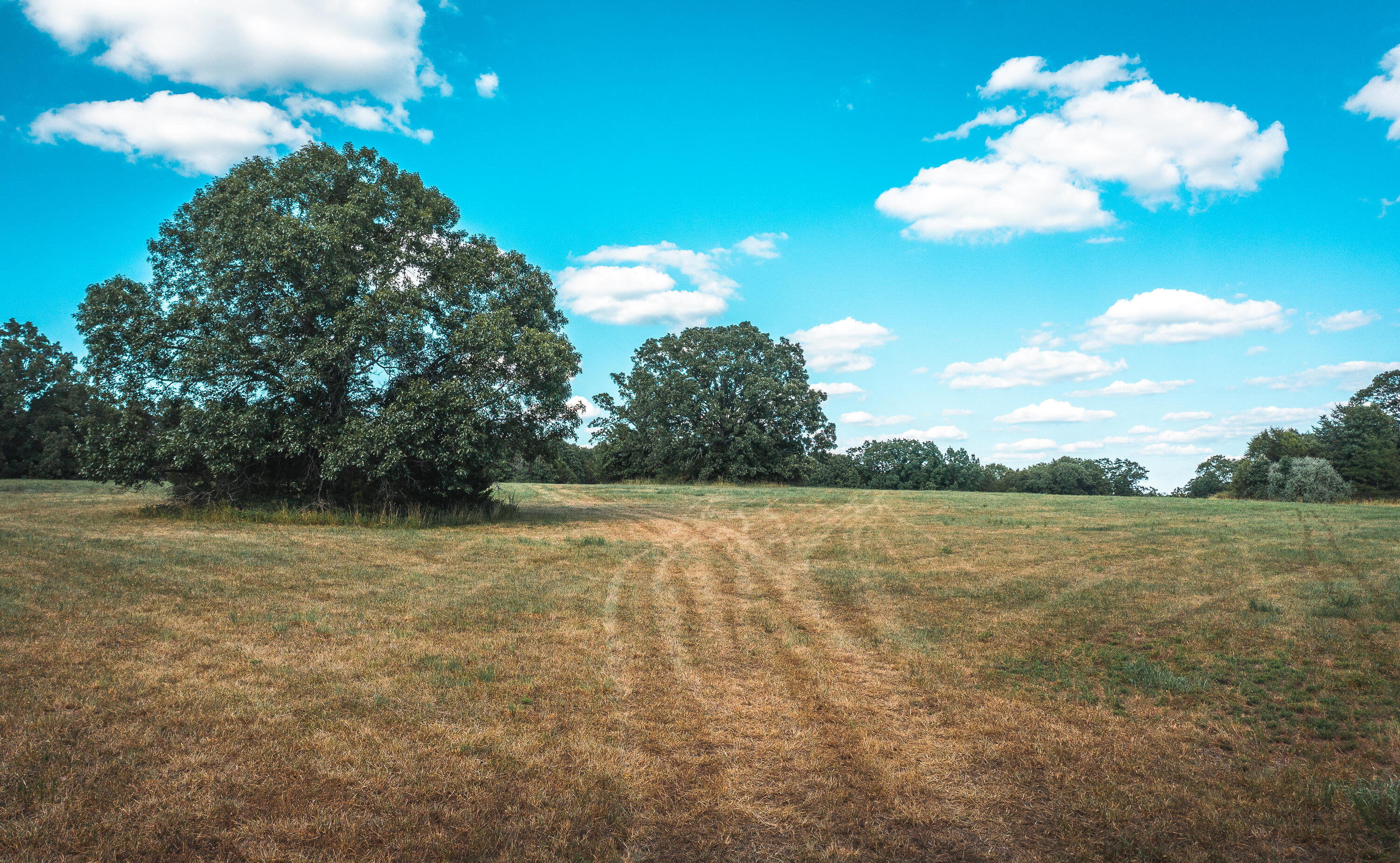 Tract 7 has some open pasture with some great building sites, a great system of trails throughout the property. Excellent deer and turkey hunting some great bottom ground for food plot areas. No electric or water on site.