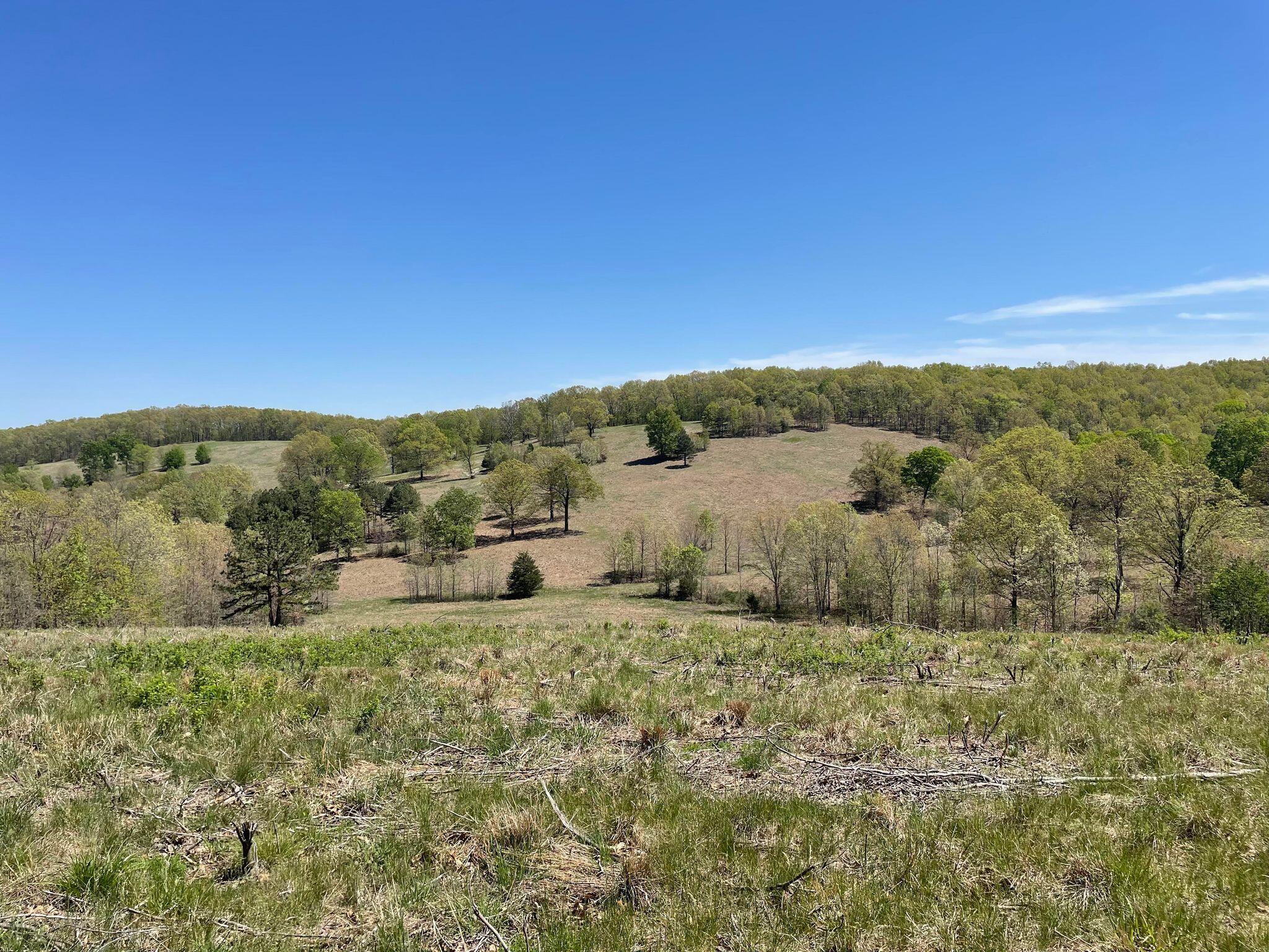 Large piece of land for sale in Ava, Mo. Located 15 miles East of Ava, these 373 acres is nestled in the Ozarks. It has ultimate privacy! There is a county road, and then a private road leading to the property with only one way in. Currently it is being used for private hunting twice a year. This is a hunter's paradise. There are over 100 open acres with the balance in woods with some commercial timber. There are two ponds, one is spring fed and the other one is small. The perimeter is fenced which will help detect boundaries. Several trails throughout, and a nice metal gate at the entrance with locks. This property would make a perfect 'off the grid' homestead, hunting retreat, or build your dream home and enjoy the Ozarks view. No restrictions so let your imagination run wild to make it work for you! The best part about this is it is priced less than $2,000 per acre which is hard to find. The taxes are only $114.79 per year.