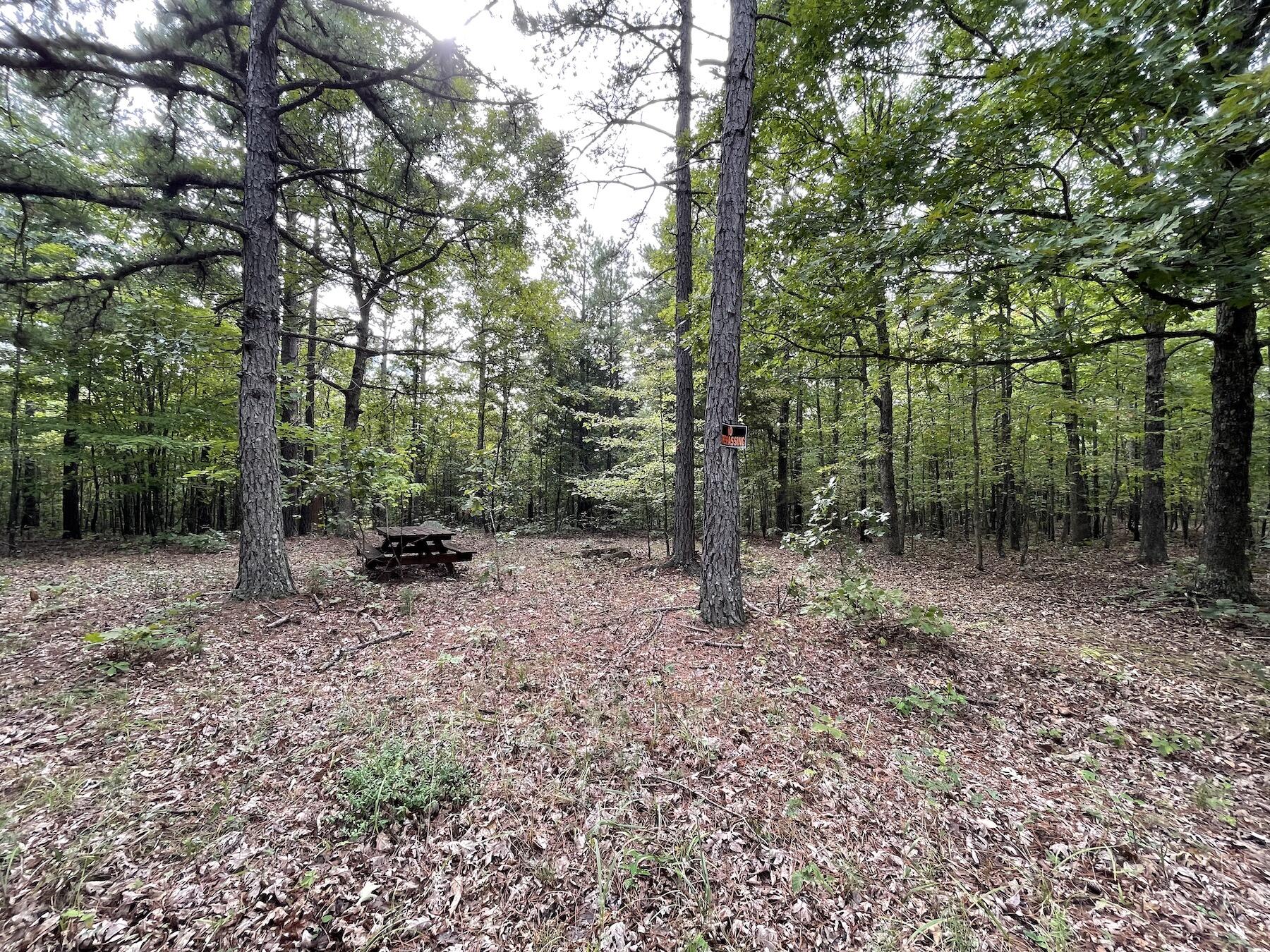 Secluded acreage ready for you! Would be the perfect spot for anyone who enjoys the trail rides! Or a hunter looking for a place to set up camp in season. This property features beautiful wooded acreage that can easily be partially cleared for a hunting cabin or set up to bring the horses in with miles of trails right out your front door. Just a few miles down the dirt road from Big Creek Trail Ride. Located down a well maintained dirt road with neighboring electric. Property is bordered on the back side by 100's of acres of State Land. Big Creek is just down the road that feeds into The Current River a few more miles away. Would be an amazing recreation property for anyone of the outdoors interested in hunting, fishing, hiking, floating, horseback riding, SXS riding, etc. Come take a look today!
