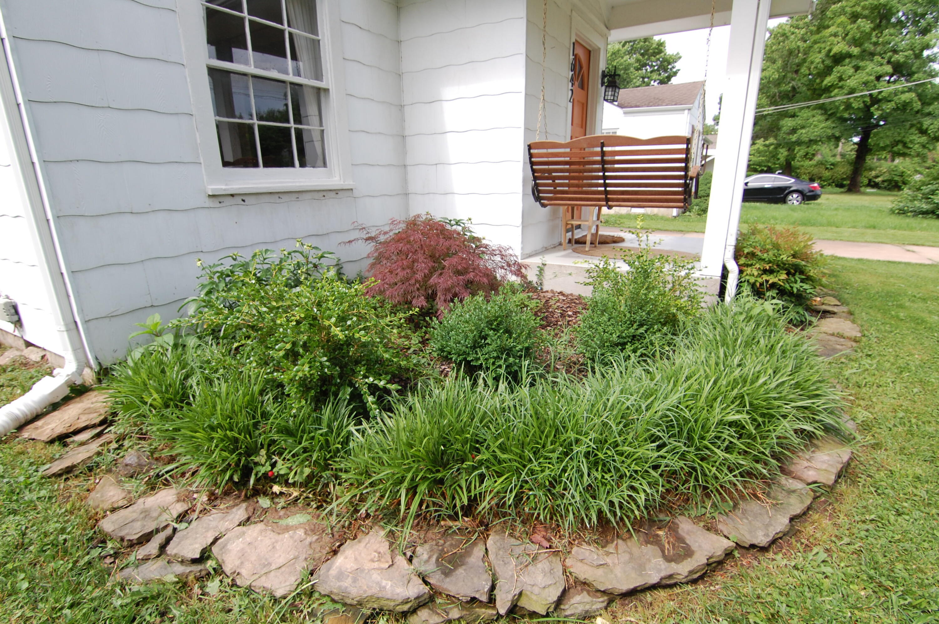 Rollston-Luster Pl - Residential