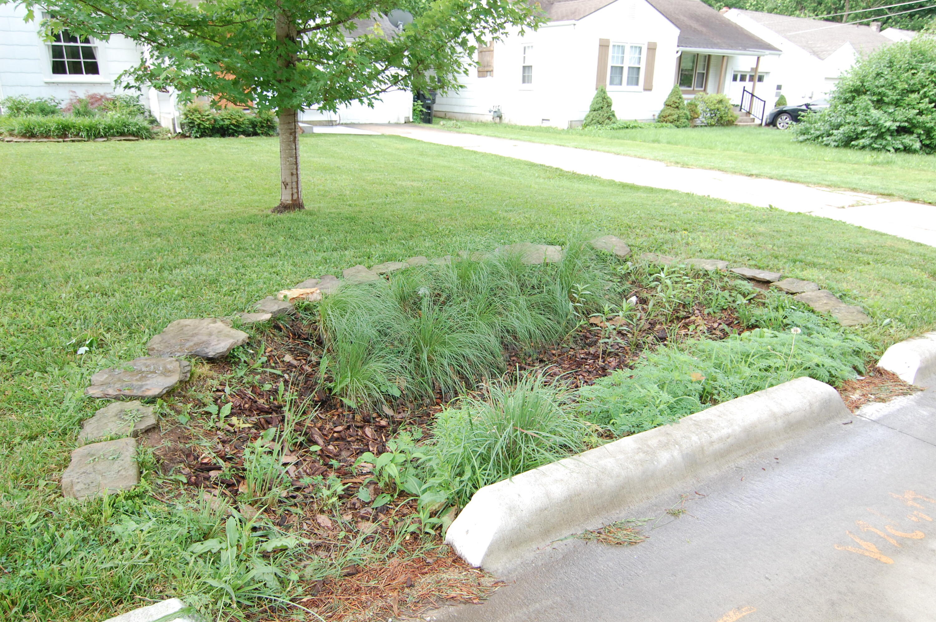 Rollston-Luster Pl - Residential