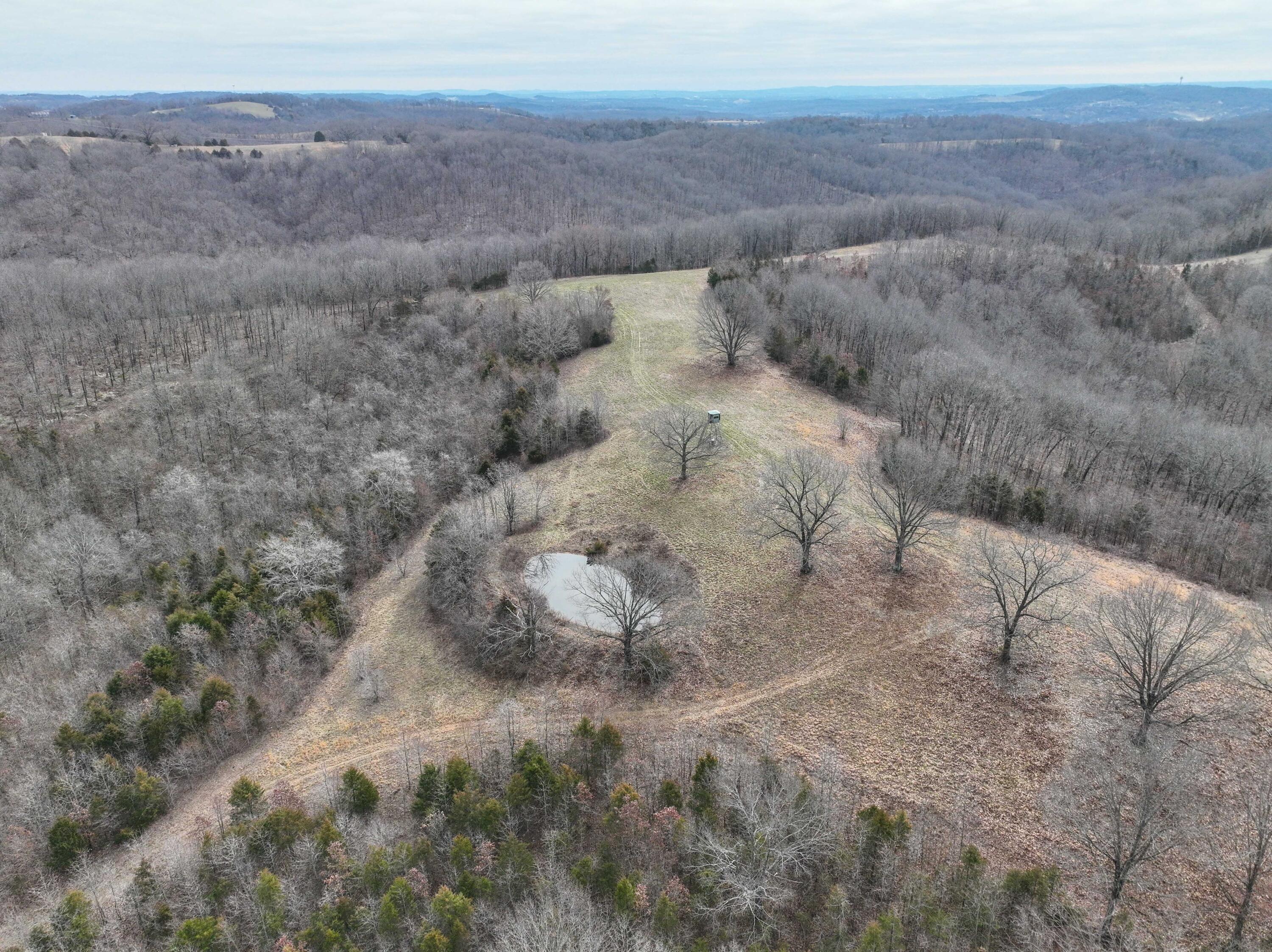 A GREAT OPPORTUNITY TO OWN AN OUTSTANDING HUNTING PROPERTY. THE OWNER HAS PUT IN AN EXTENSIVE TRAIL SYSTEM. TO MAKE ACCESSING THE PROPERTY AN EASE, THERE ARE MANY OPEN AREAS FOR FOOD PLOTS, HAY Or TO RUN CATTLE. THERE ARE 6 REDNECK BLINDS THAT CONVEY WITH THE PROPERTY, AND ALSO A 36x60 METAL BUILDING TO STORE ALL OF YOUR EQUIPMENT AND TOYS. NUMEROUS DEER AND TURKEY FREQUENT THE PROPERTY AS WELL AS AN OCCASIONAL BEAR.THE PROPERTY OFFERS MUCH PRIVACY AND SOLITUDE BUY YET IS MINUTES AWAY FROM EVERYTHING THE BRANSON AREA HAS TO OFFER SUCH AS SHOPPING, DINING, GOLF AND THE LAKES! CALL TODAY FOR YOUR PRIVATE SHOWING!