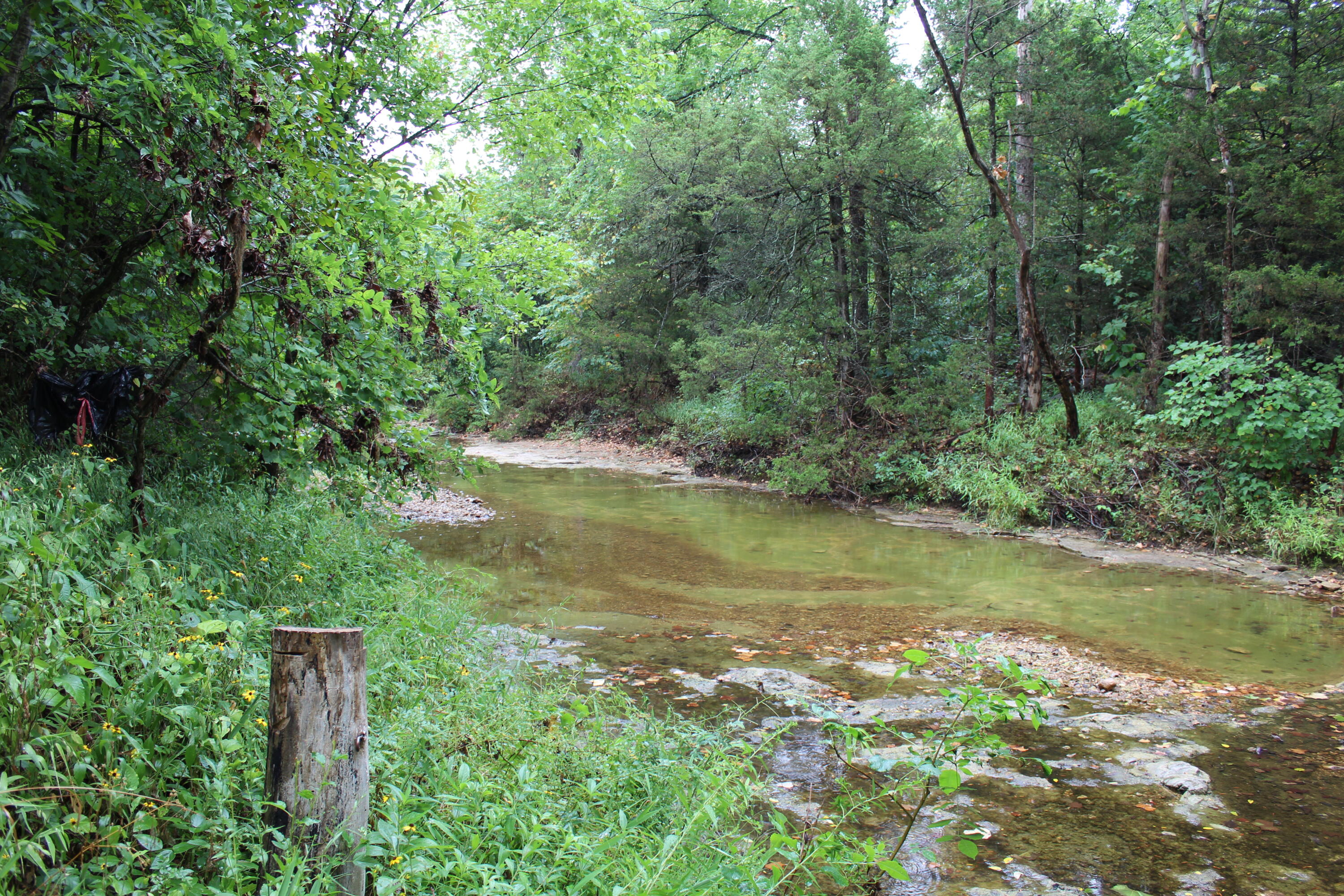 This beautiful 10 acres, 20 minutes from Springfield with a creek is the perfect place to build you dream home.  Paved road frontage will give you easy access to highway 65.  The front of the property is cleared and ready for a home.  Just into the tree line you will find a creek, but your property doesn't stop there.  Keep going and you will find lots of timber and woods.  Possibilities are endless, come see it today.  Bring all offers!