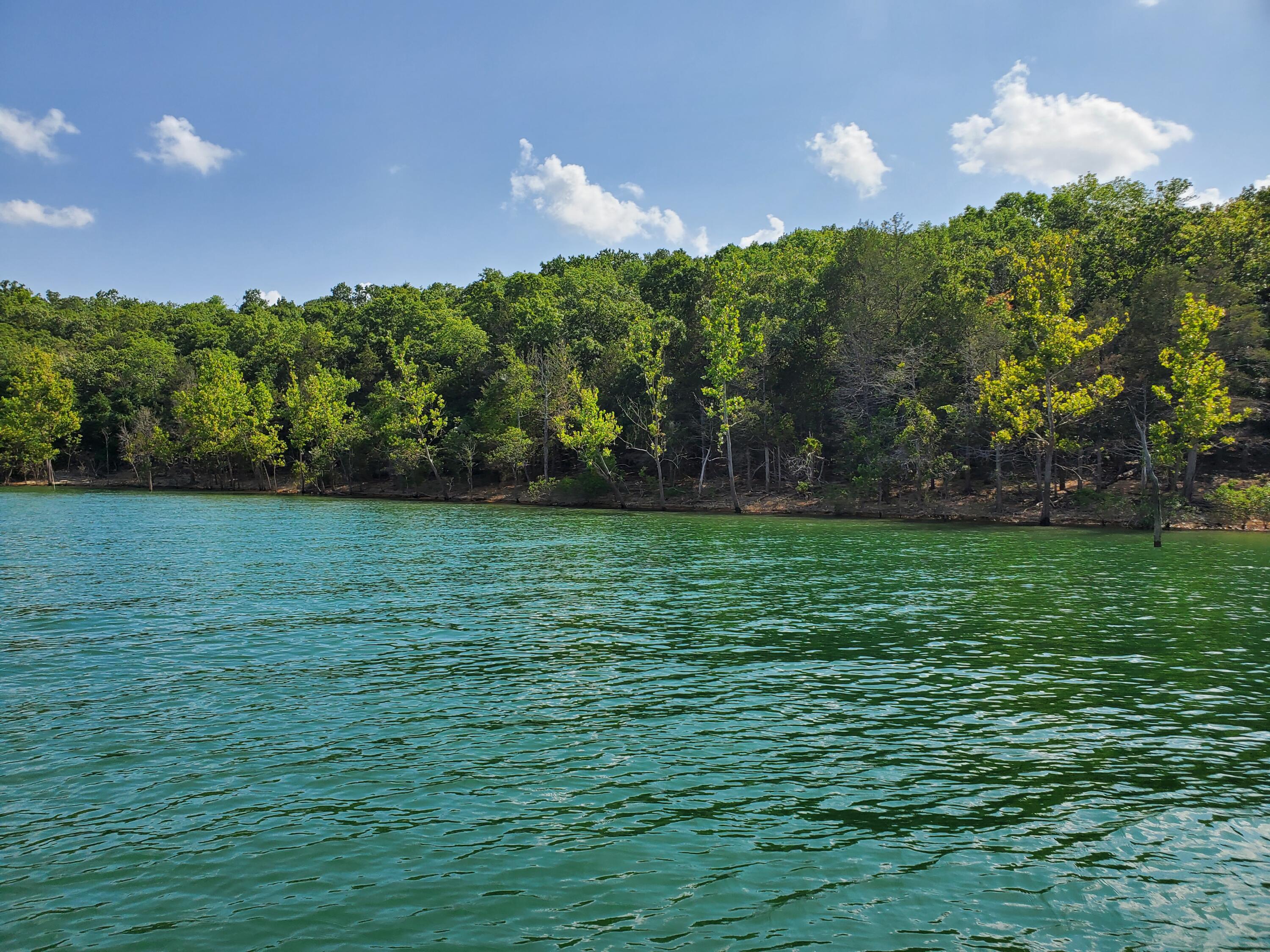 HUGE Main Channel lake views PLUS lake front! Easy to live with restrictions. Tract located 20 minutes south of Branson not far from Big Cedar Resort. Upper end gated community just across the street. Tracts like these are few and far between this close to Branson! Do your Due Diligence as there is RED ZONING which may allow you to build a dock!!!! Tract division is subject to  Stone County approval.