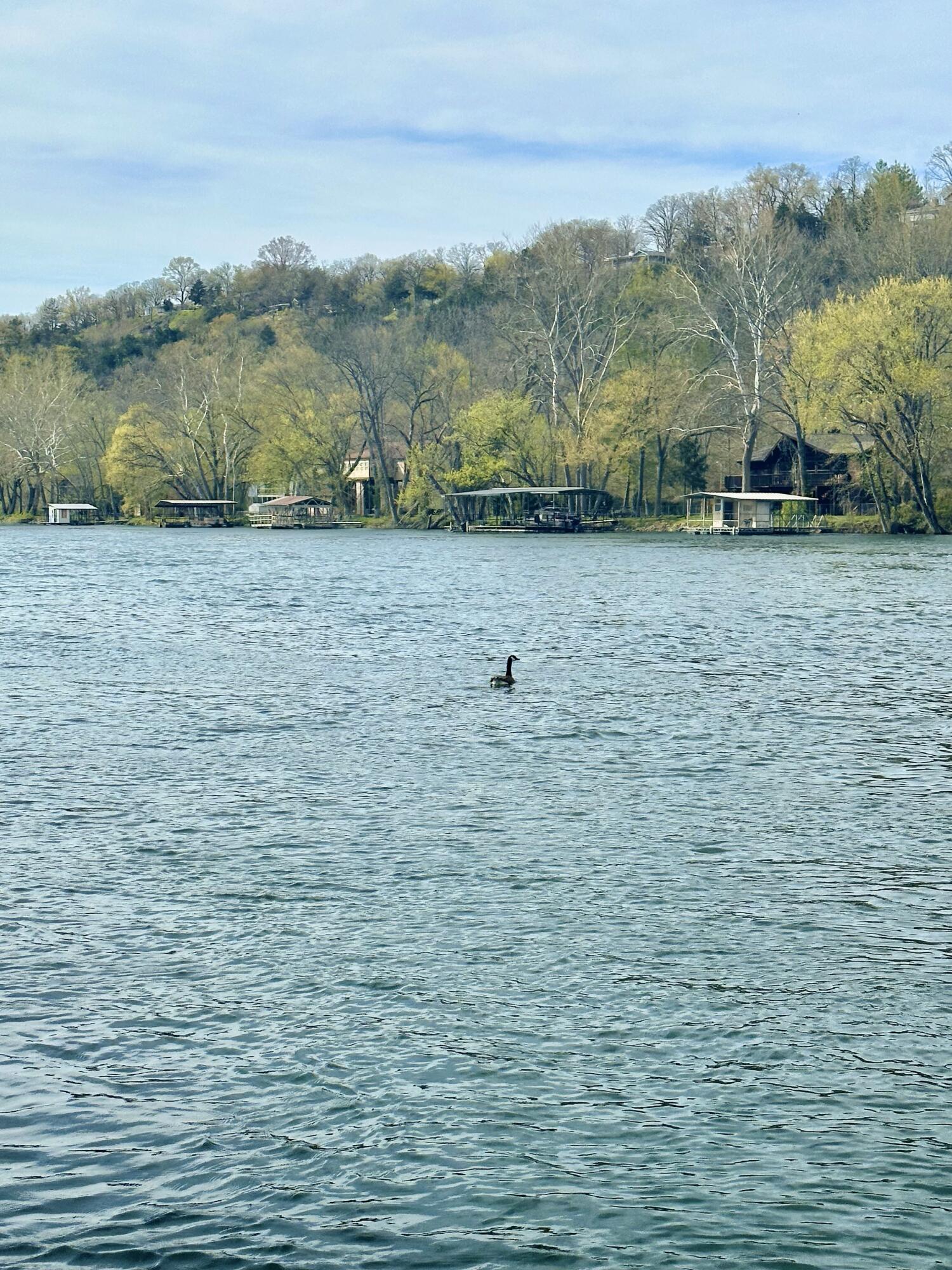 Taneycomo Terr-Hol - Residential