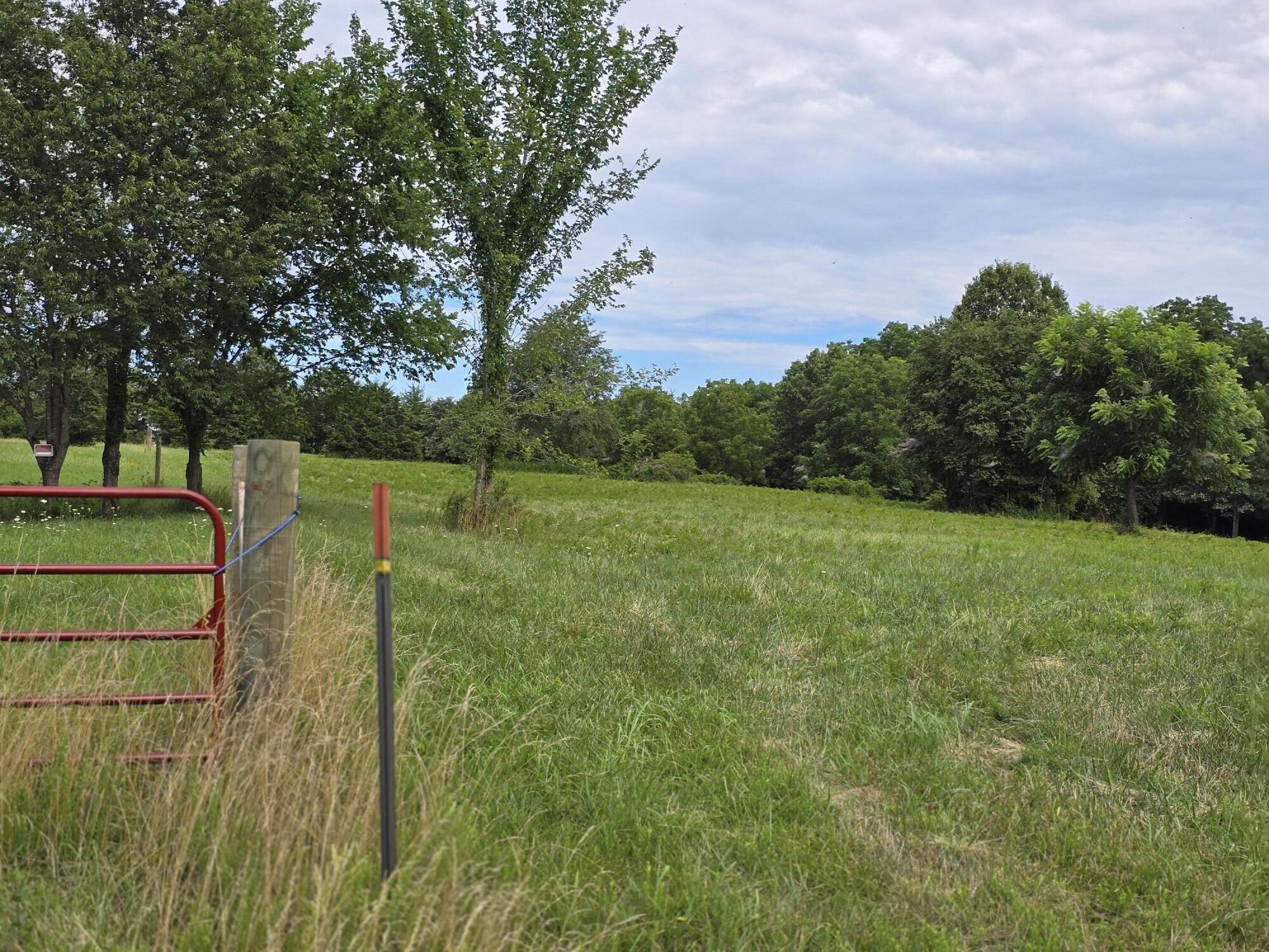 A Beautiful 10-acre tract perfect for building your DREAM HOME or a great property for hunting. Located in Greene County, but very secluded. Easy access to I-44.