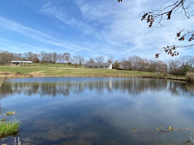 Beautiful Southern Missouri Farm for sale offering 150 acres m/l of mixed ground, LOTS  of fresh water, a 3 bed, 2 bath Ranch home with a chef's custom kitchen, Master en suite, open floor plan, fresh paint & a wonderful covered patio on two sides! Put your feet up and sit in the warm sunshine to enjoy your beautiful farm and that gorgeous Spring pond! The land is chemical-free and has been maintained & improved offering 60% grazing or hay ground, perimeter fence & some cross fence ready for your livestock. Lots of water!! In addition to the healthy YEAR 'ROUND SPRING, there are 2 private water wells, 2 ponds and the wet weather creek (that runs across the farm) has spring pools throughout with additional pools of water in various locations across the property.  Eagles, deer, turkey and more fill the woods and graze the pastures for your enjoyment! Adding to the great character of this beautiful farm is: a 40x34 nostalgic barn with concrete floor, electricity & large doors; a 53x31 hay/pole barn; and multiple nice storage buildings. You get the whole package here. Home-Land-Buildings-Fresh Water-Woods-Ozarks! No Restrictions! Located close to our National Forrest, Lakes, Rivers and Streams. Two miles from town, one hour to Springfield and three hours to St Louis. Call to view this opportunity today!