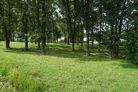 Featured picture for the property 60272733