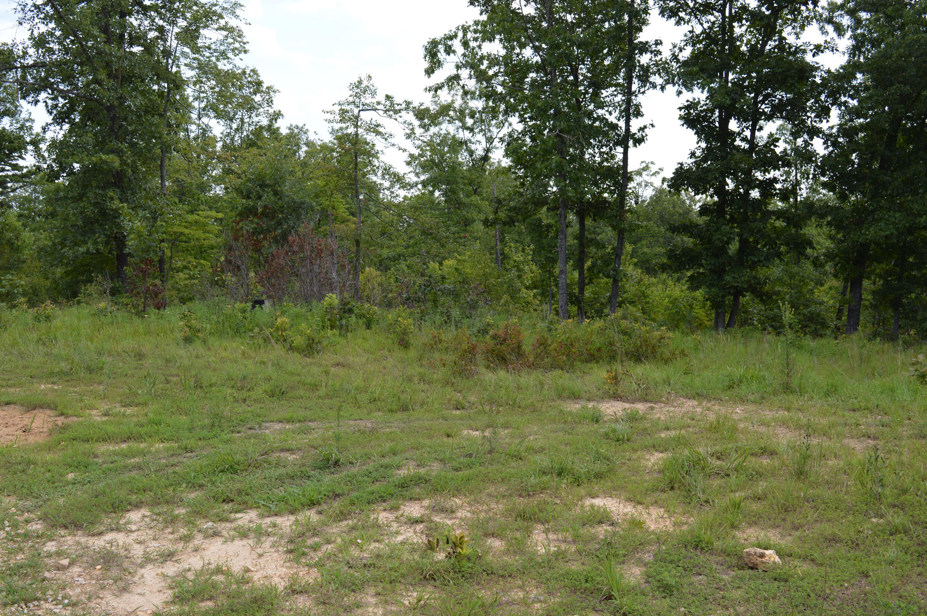 Wooded track with many options. Use one of the many level areas to build a home or cabin to set up your homestead. If camping, hiking and or hunting is what you are after, look no further. Park your camper or pitch your tent and enjoy your access to Rocky Creek Conservation area. The state land borders on the south and west side, giving you access to 1000 plus acres of conservation land.