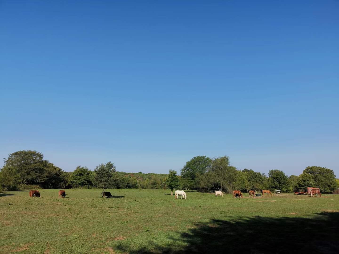 Original Plat - Farm