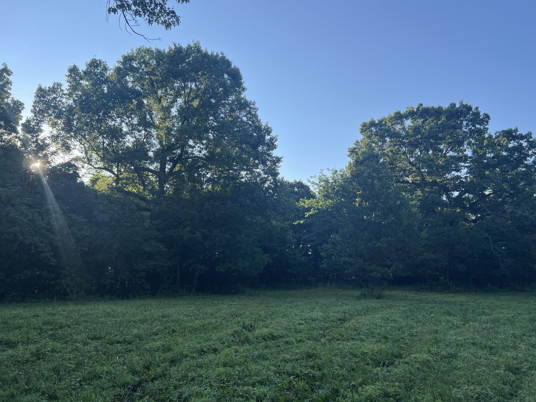 Original Plat - Farm