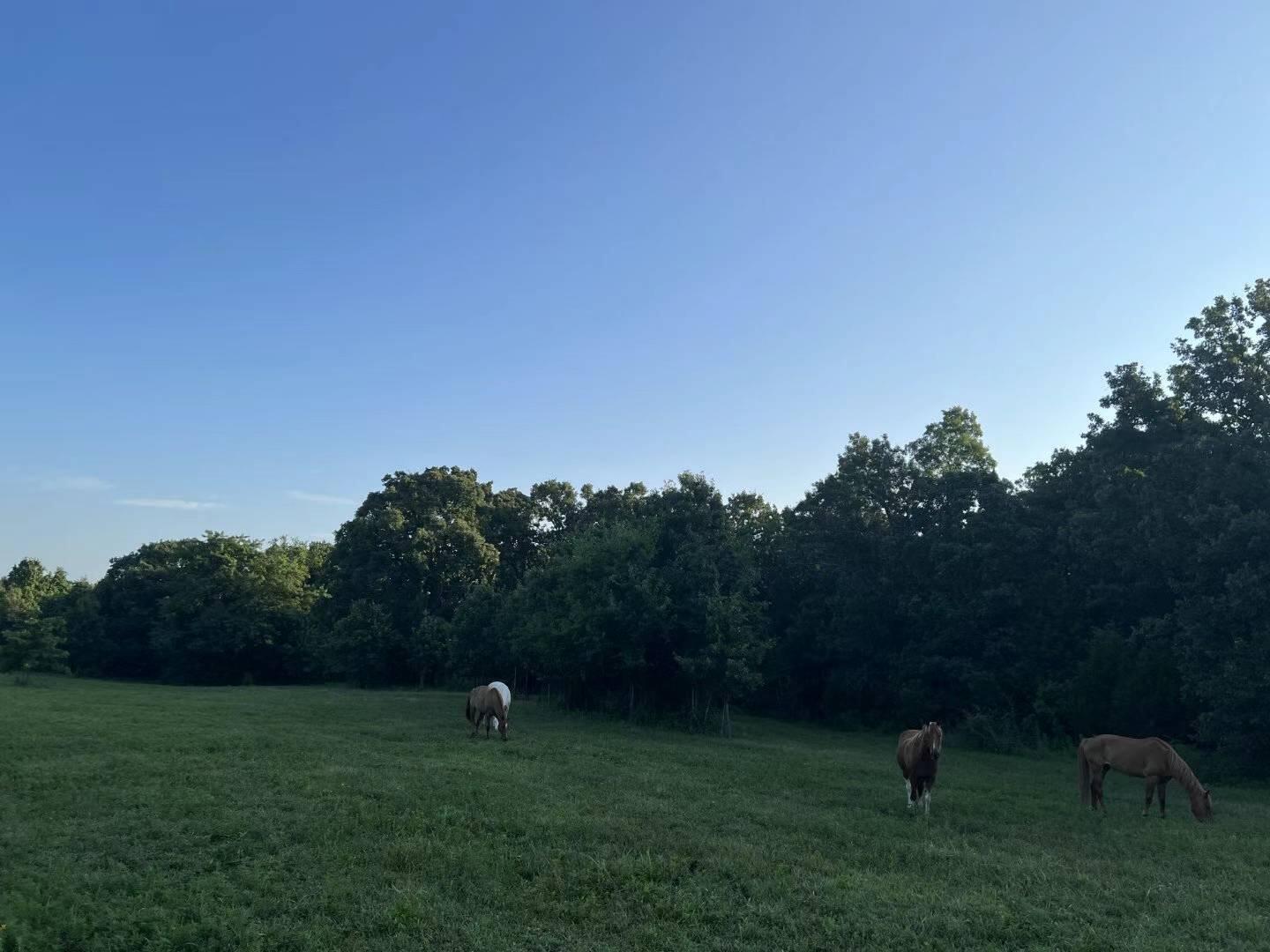 Original Plat - Farm