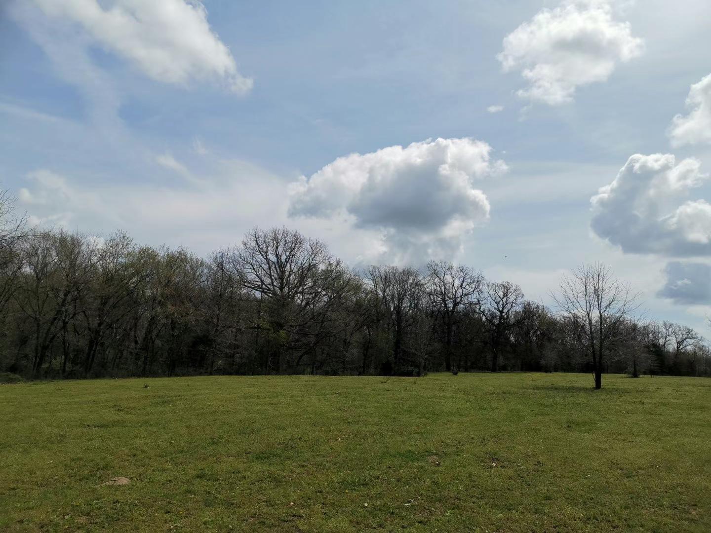Original Plat - Farm