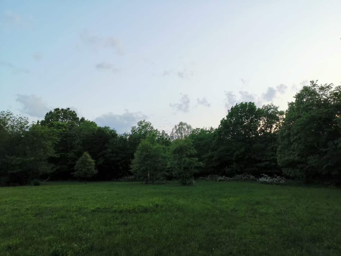 Original Plat - Farm