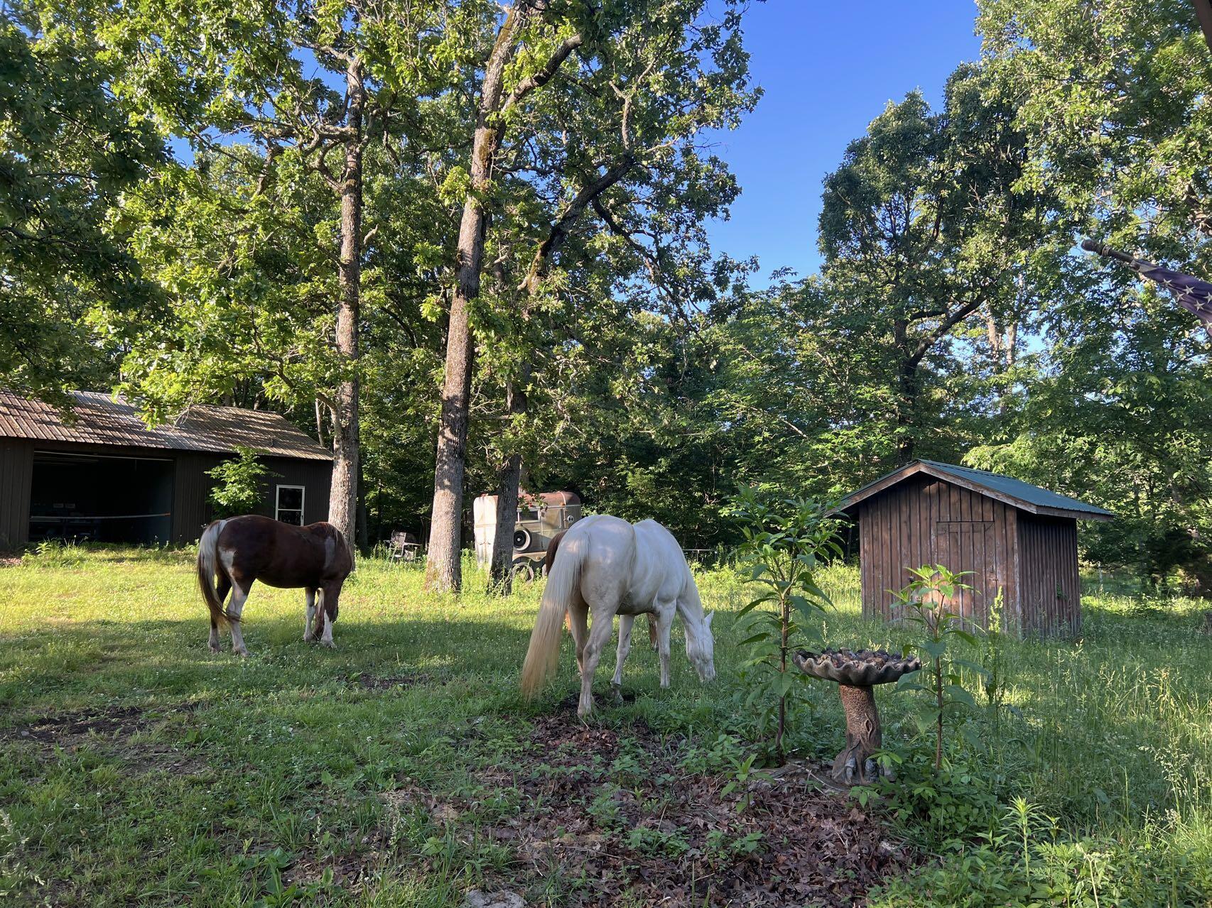 Original Plat - Farm