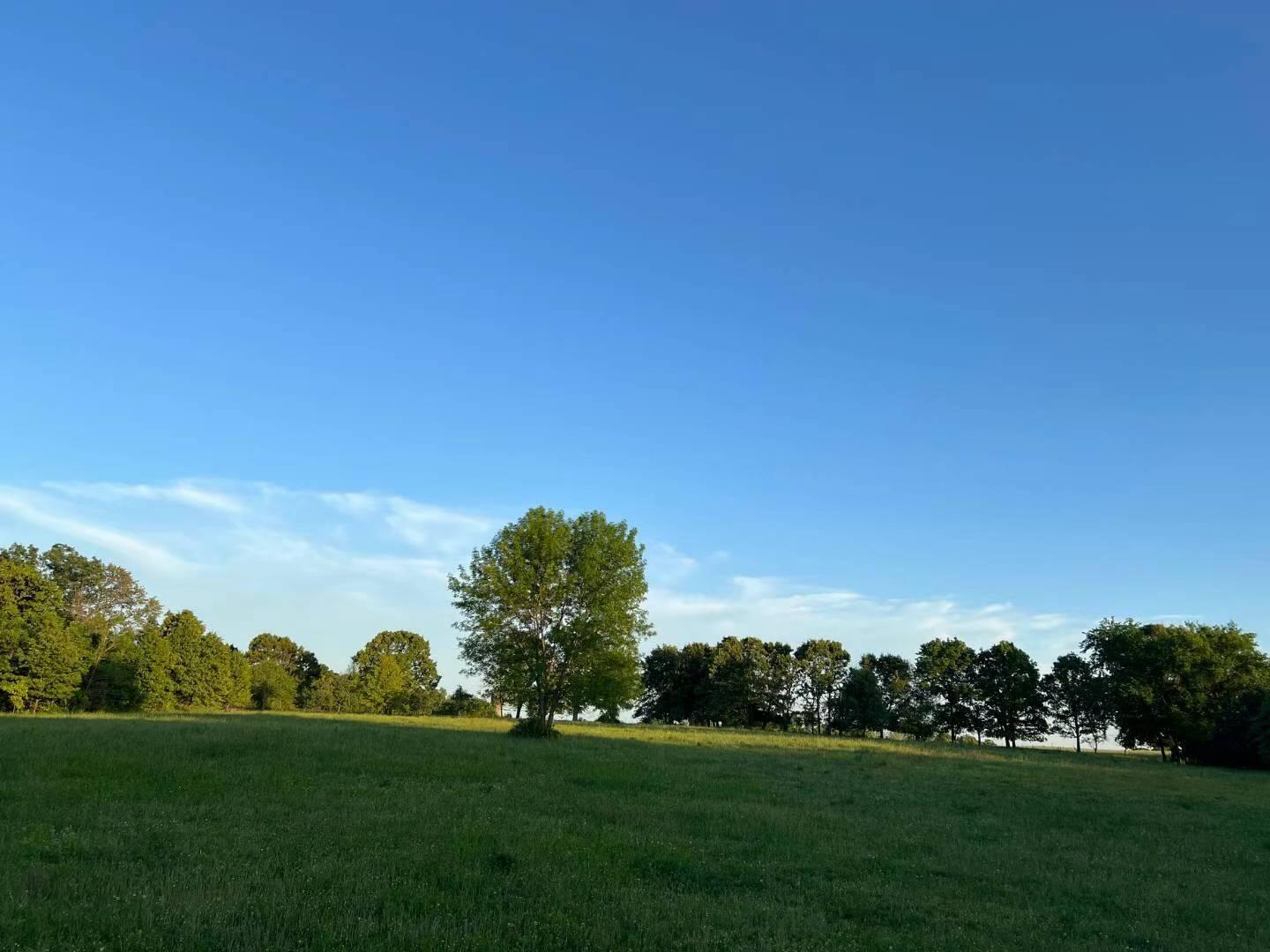 Original Plat - Farm