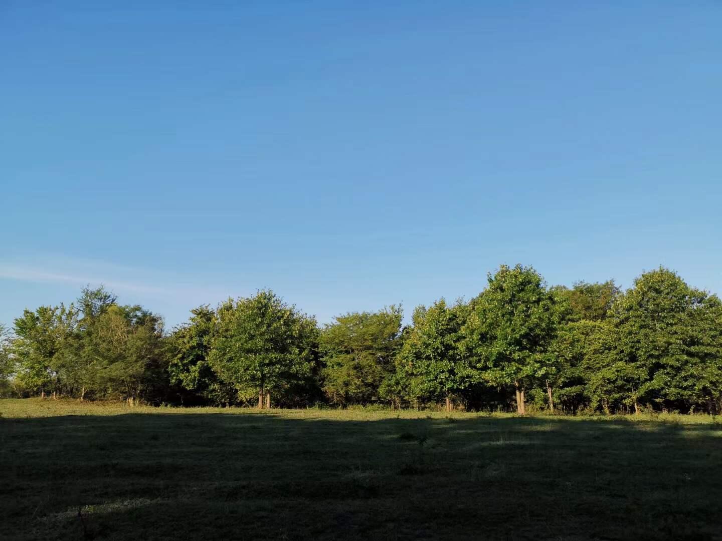 Original Plat - Farm