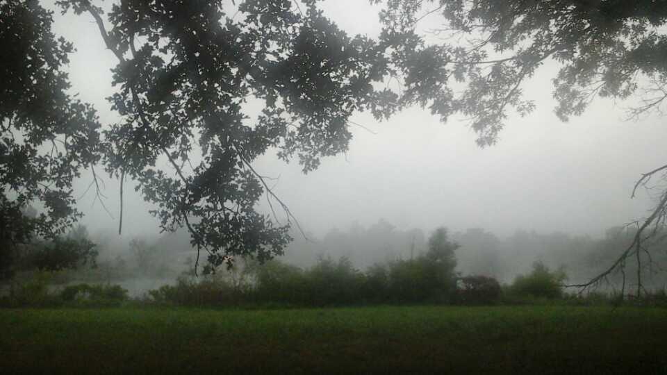 Original Plat - Farm