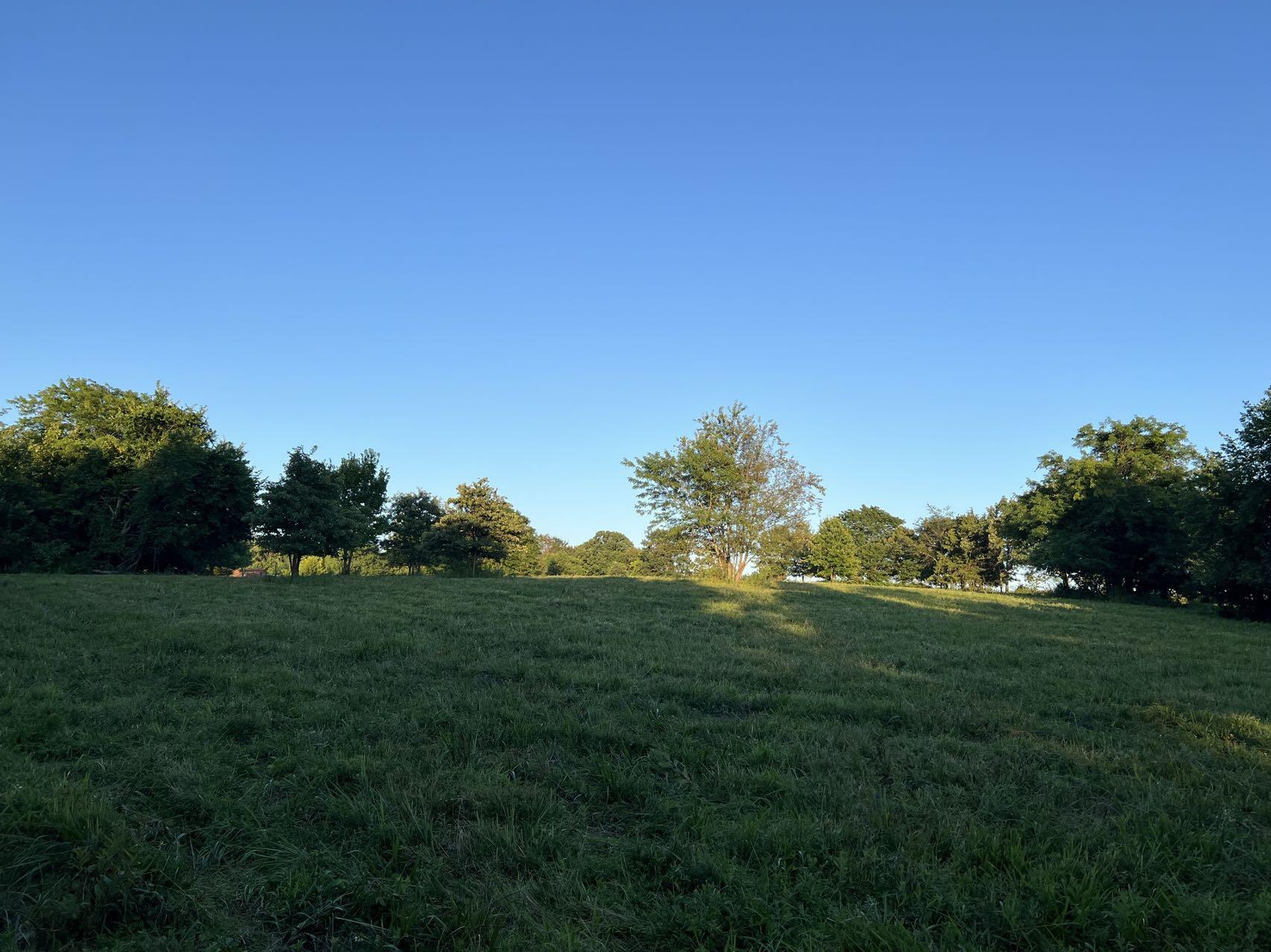 Original Plat - Farm