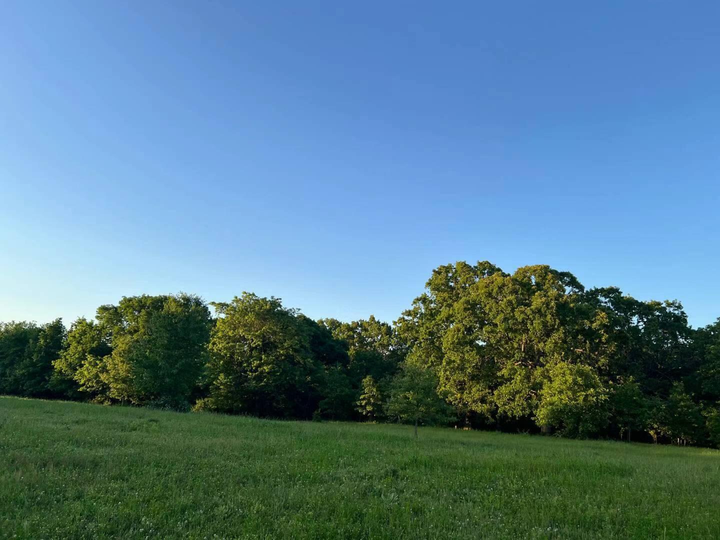 Original Plat - Farm