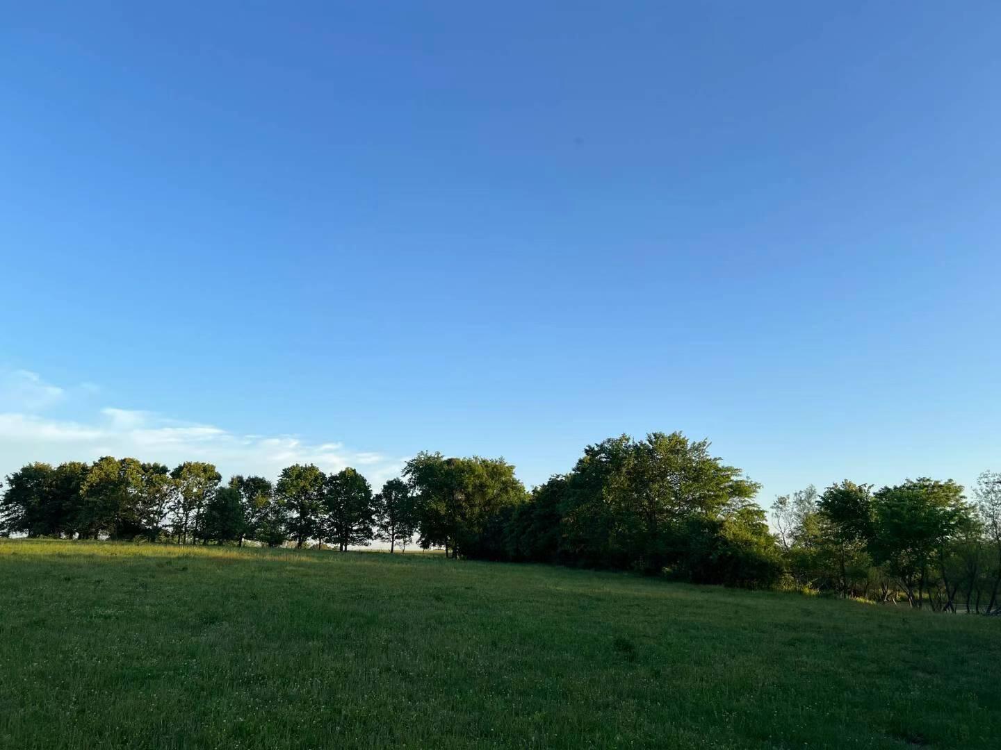 Original Plat - Farm
