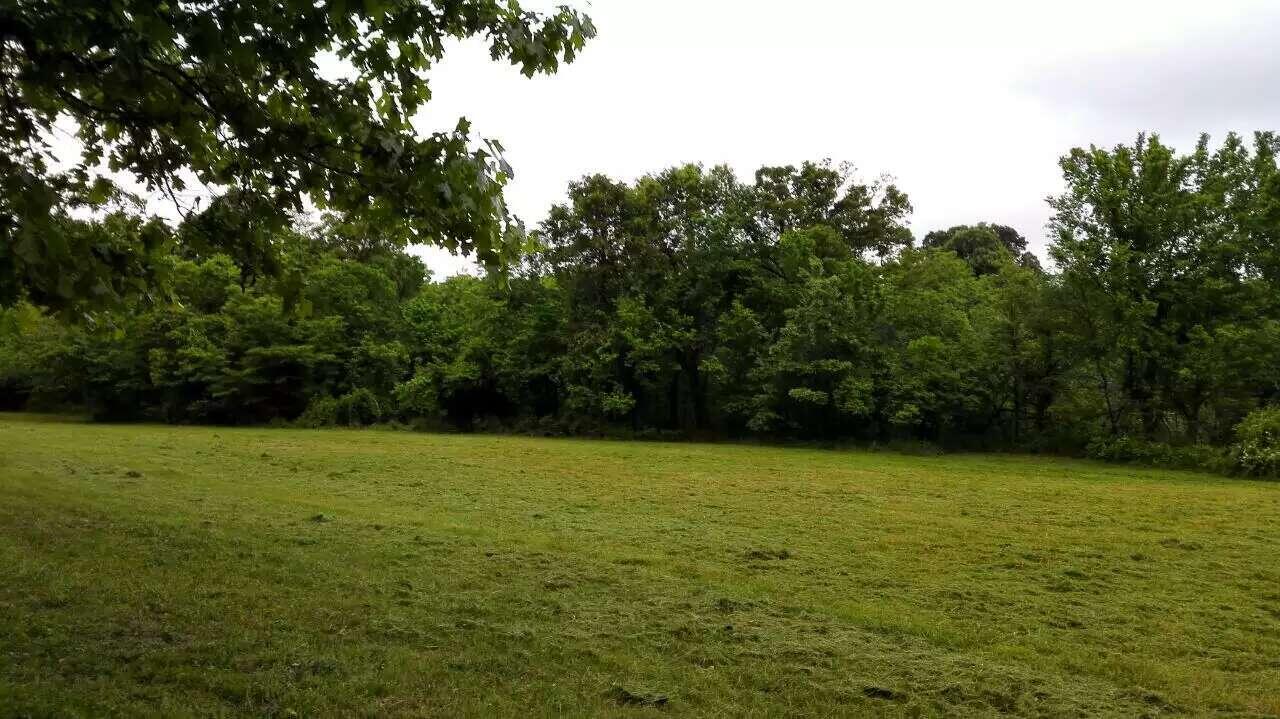 Original Plat - Farm