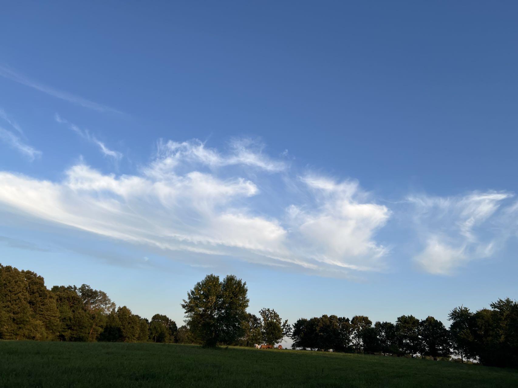 Original Plat - Farm
