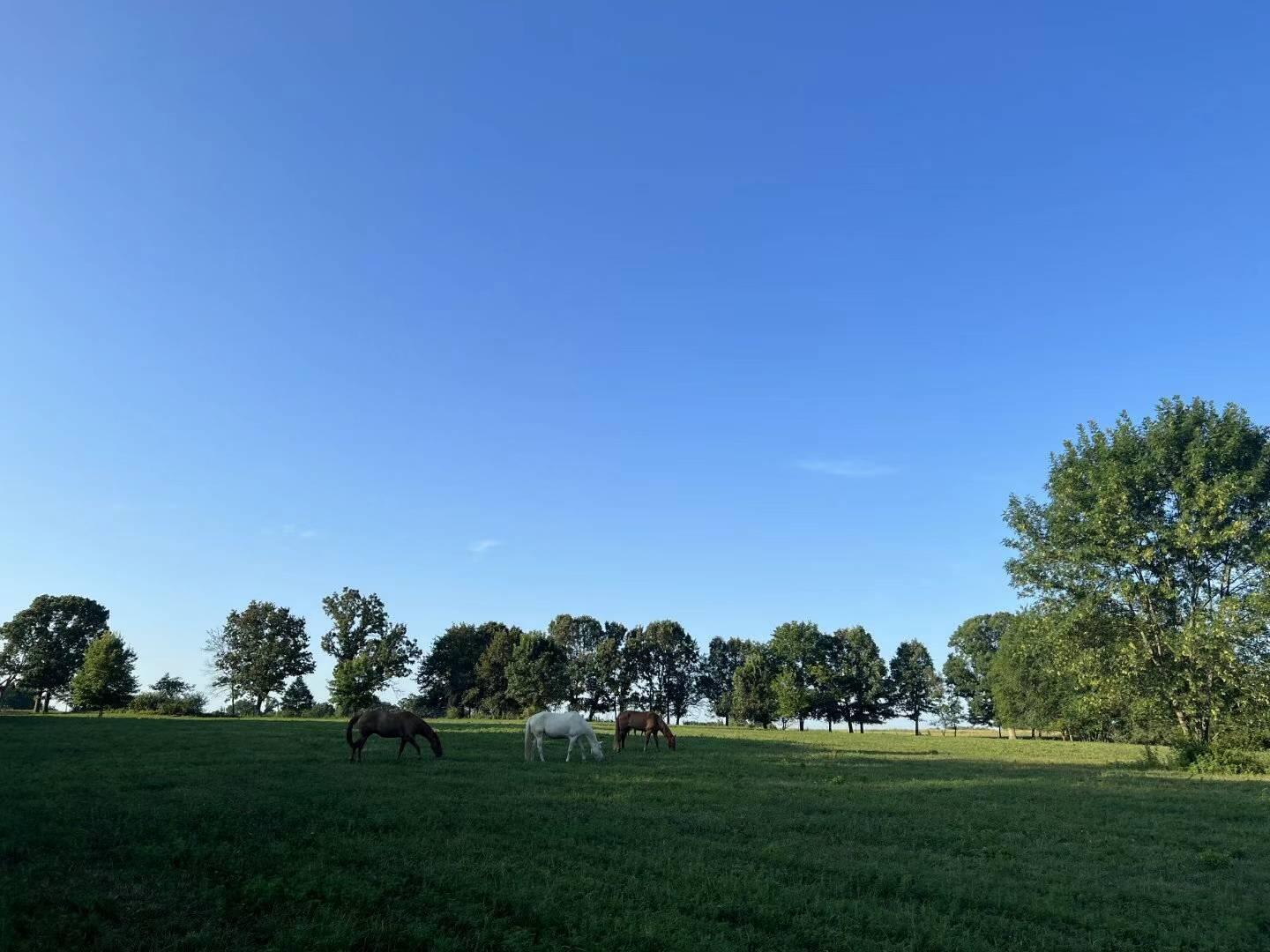 Original Plat - Farm