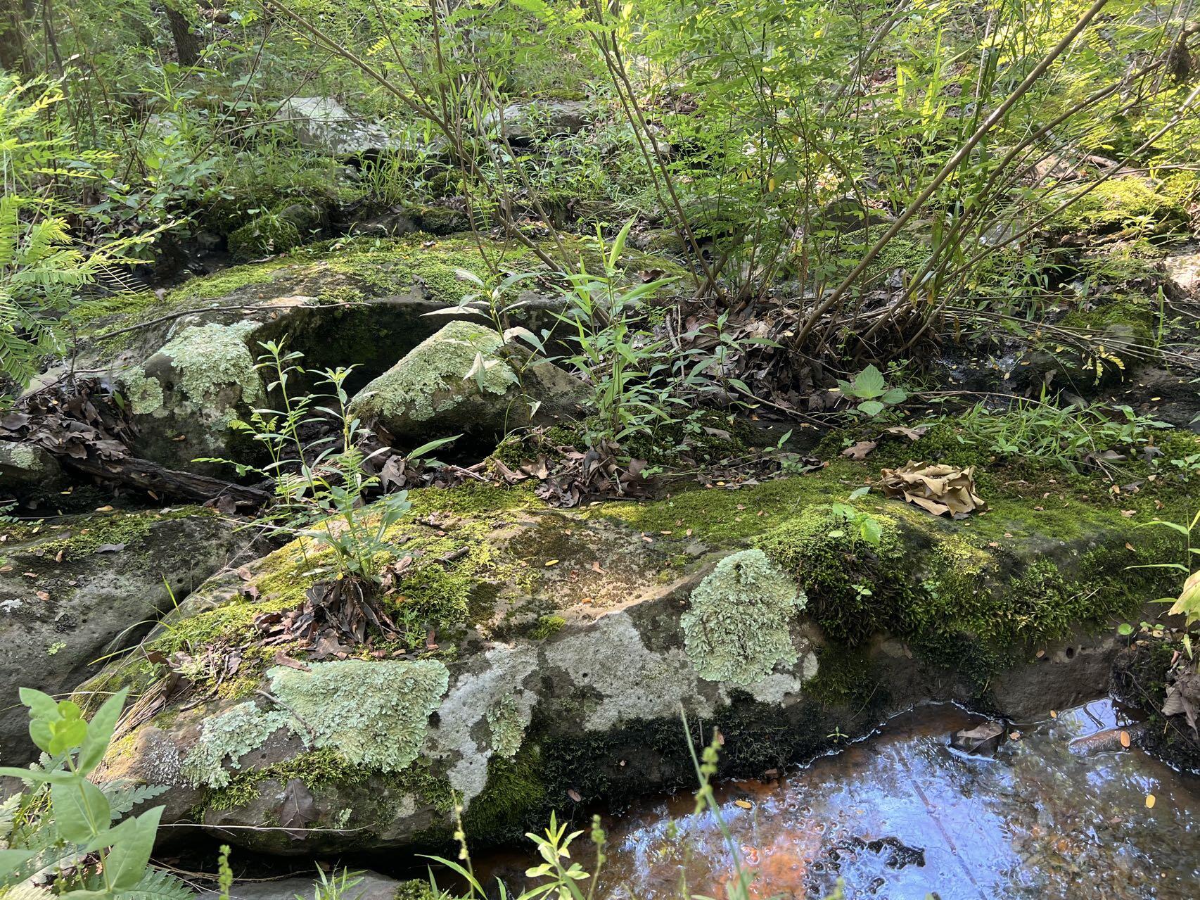 Original Plat - Farm