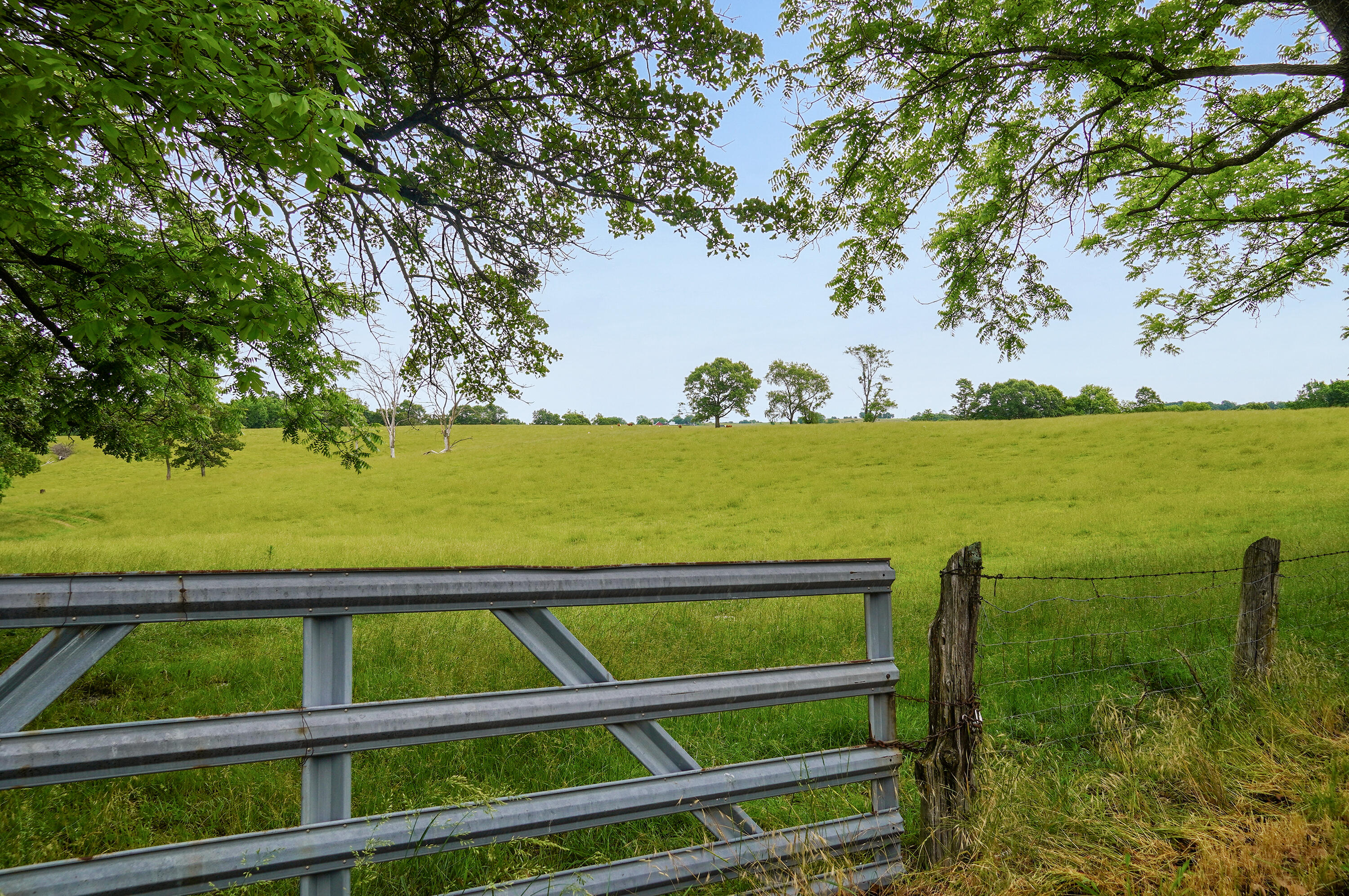 Wow! This incredible 80 acres is located just south of Nixa, in Highlandville. The best of both worlds, open pasture along with beautiful wooded acreage. The opportunities are endless. Love wildlife? Exploring? Enjoy breathtaking sunsets? You won't be disappointed here! Wet weather creek towards the back of property. Perfect for your forever home or even development land.