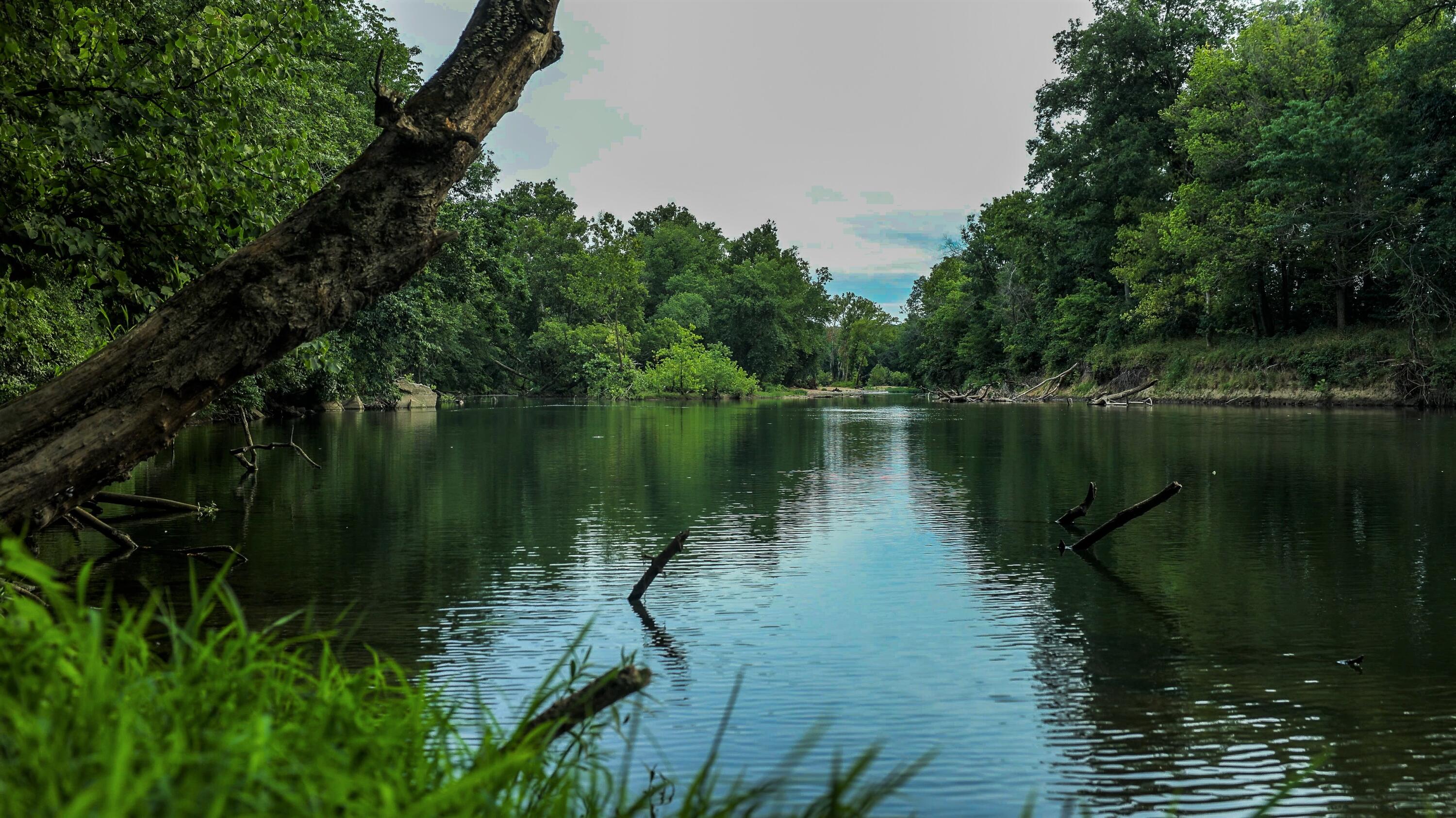 280 acres with GASCONADE RIVER Access!!Enjoy farming, homesteading, hunting, fishing, swimming, & kayaking in the Ozarks on this beautiful 280-acre m/l farm with live water, ponds, creek, and springs! Who says it has to be all work and no fun! Whitetail deer, turkeys, and bald eagles have all been sighted on the property. There are 3 elevated blinds, 1 ground blind, & a couple of areas perfect for food plots for those who enjoy hunting or wild-life observation. The 2022 whitetail hunting tally was impressive.  Many trail roads have been cut through the property to aid in ease to navigate equipment or ATV's.  Property joins Wilbur Allen Memorial Missouri Department of Conservation land. Property is approx. half-timber and half improved pasture with 100+ acres mowable for hay with corrals & alleys to help with cattle and livestock rotation.  Cabin has 2 beds, 1 bath, central heat & air with open combined kitchen, living, & dining area. Cabin could easily be used as permanent residence or be turned into a guest house if you have been wanting to build that dream home. It's quiet and has great views! Multiple outbuildings are situated onsite to accommodate both hobbies & equipment. Hay barn is 57x104. Single bay shop is fully enclosed with power & concrete with hook-ups for propane. 20x40 building was previously used as a calf barn. The 20x60 building with power & concrete & attached 12x60 side shed was once part of a dairy parlor. The almost finished 12x10 building would make a great gardening or she-shed. Pool does not convey. Call for more details.