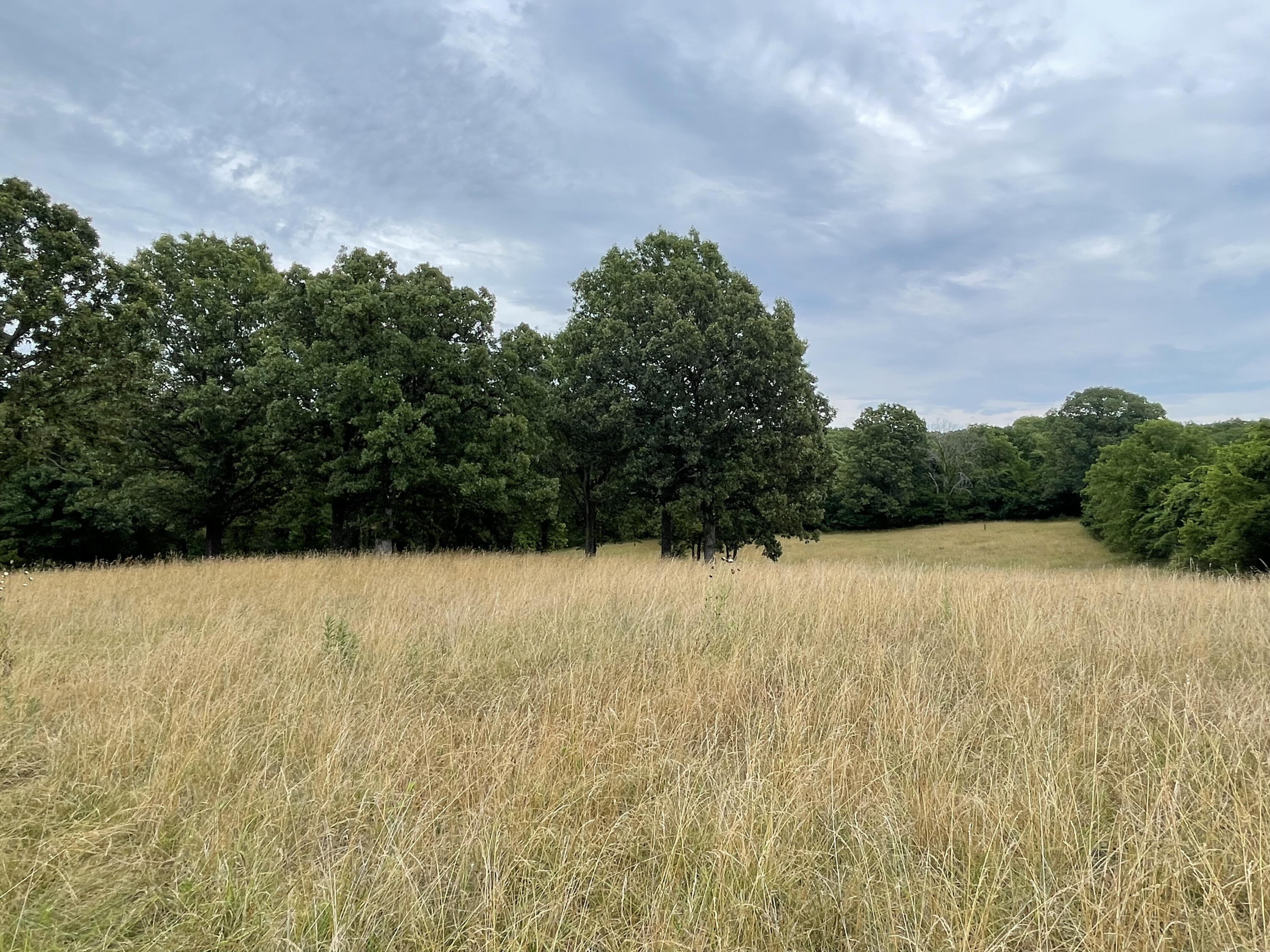 N/A - Farm