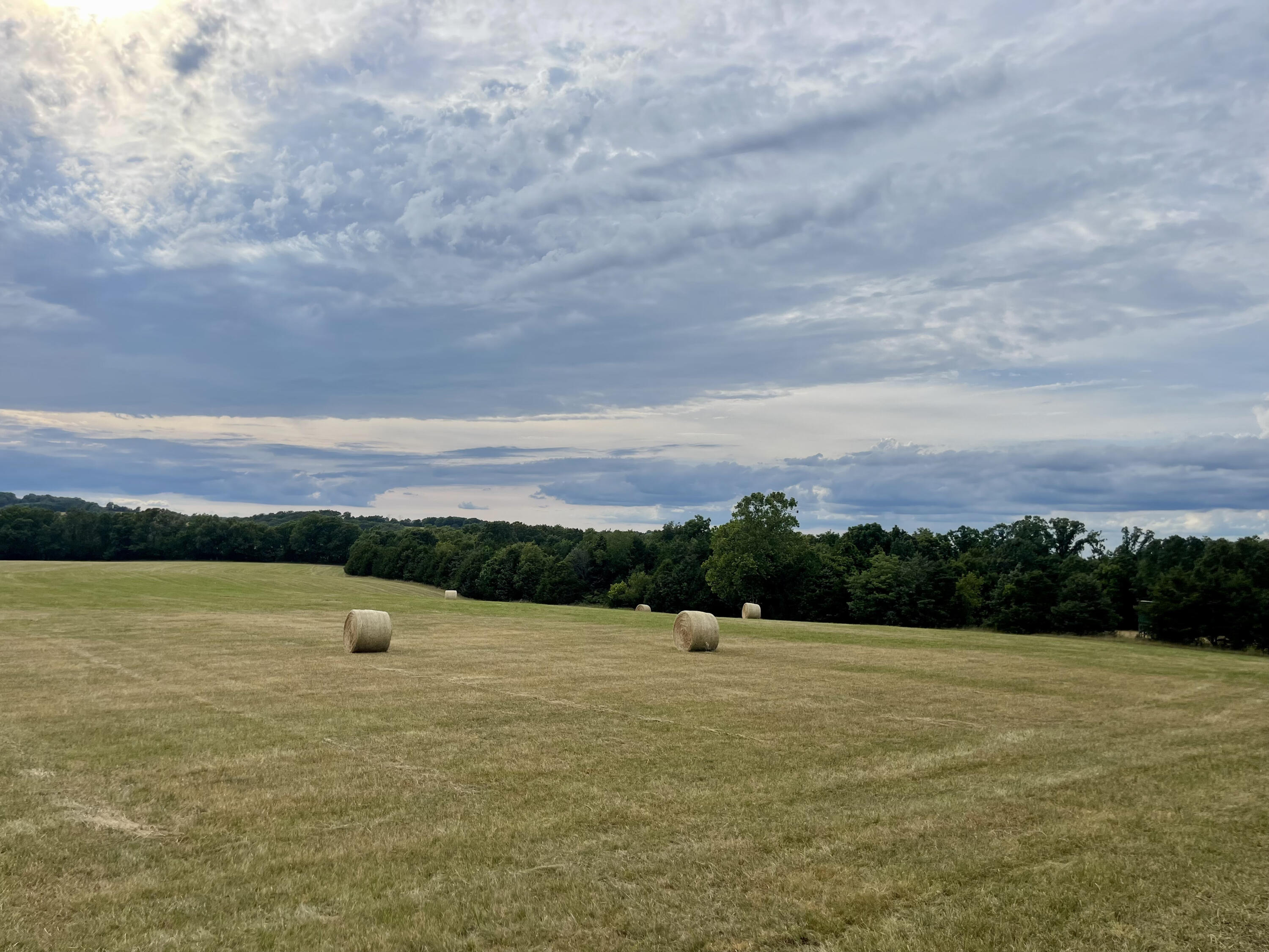 N/A - Farm