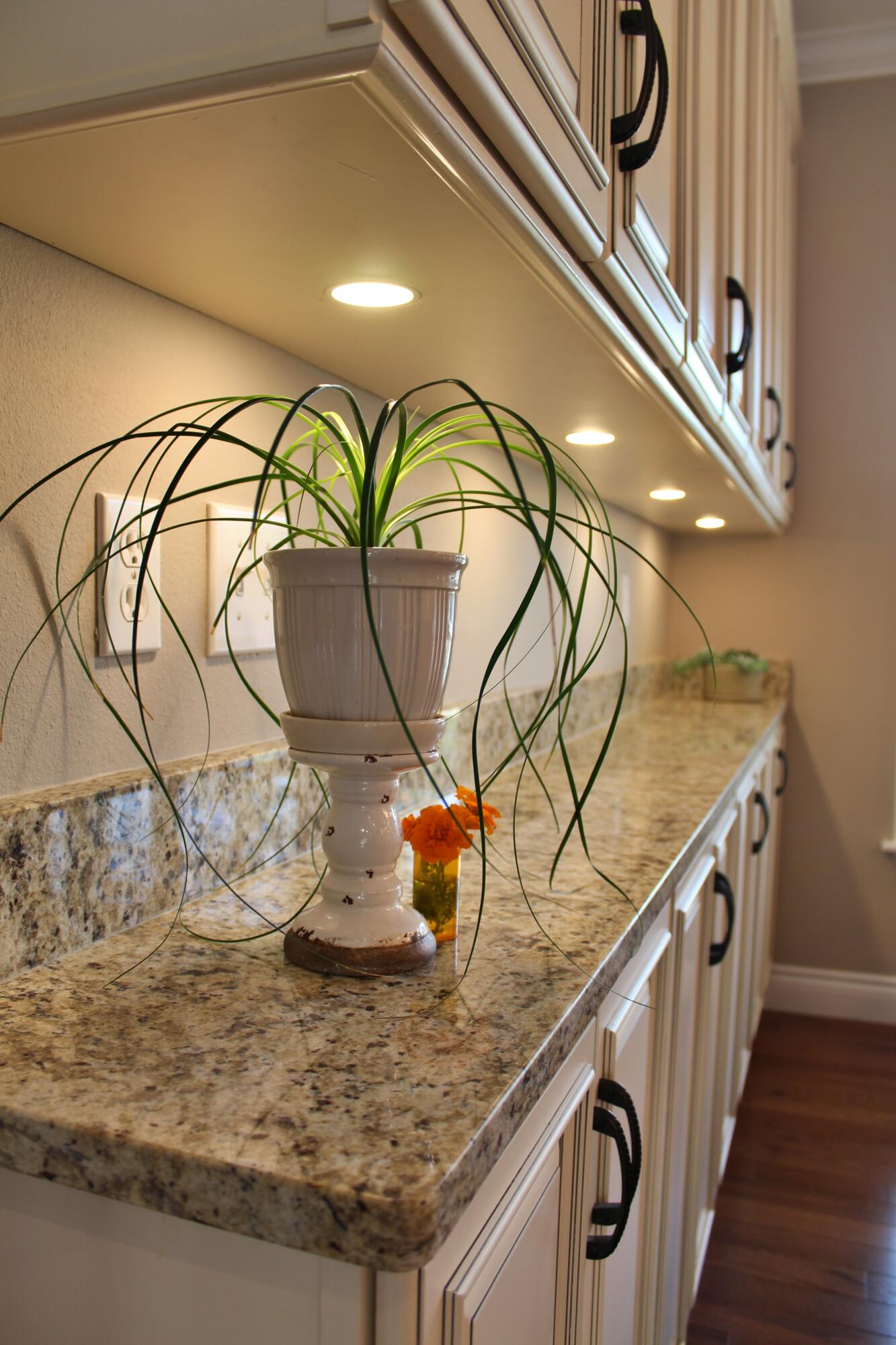 Emory Creek Developm - Residential