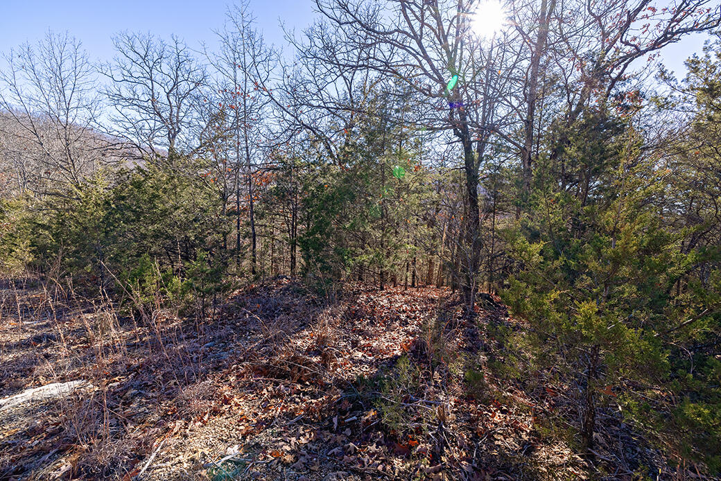 Secluded area near Table Rock Lake and Big Cedar in Ozark Paradise Village, part of the Oakmont Community that includes a pool.  Quick access to everything that Branson has to offer; Branson Landing, Silver Dollar City, World Class Golf Courses and so much more!