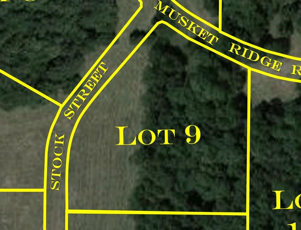 Photo 1 of 2 of 6542 South Stock Street land