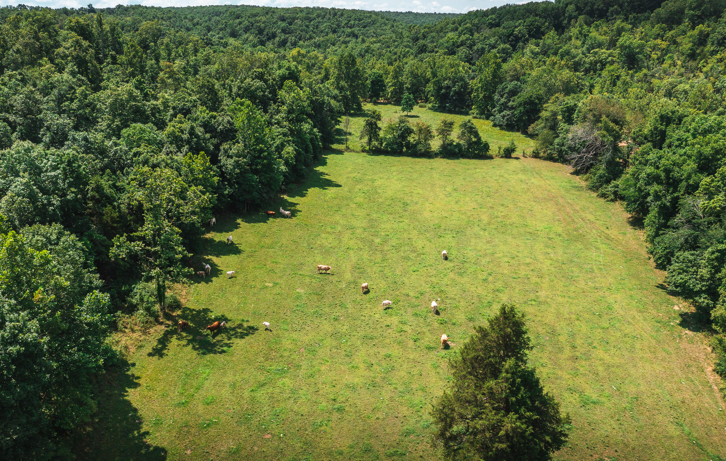 N/A - Farm
