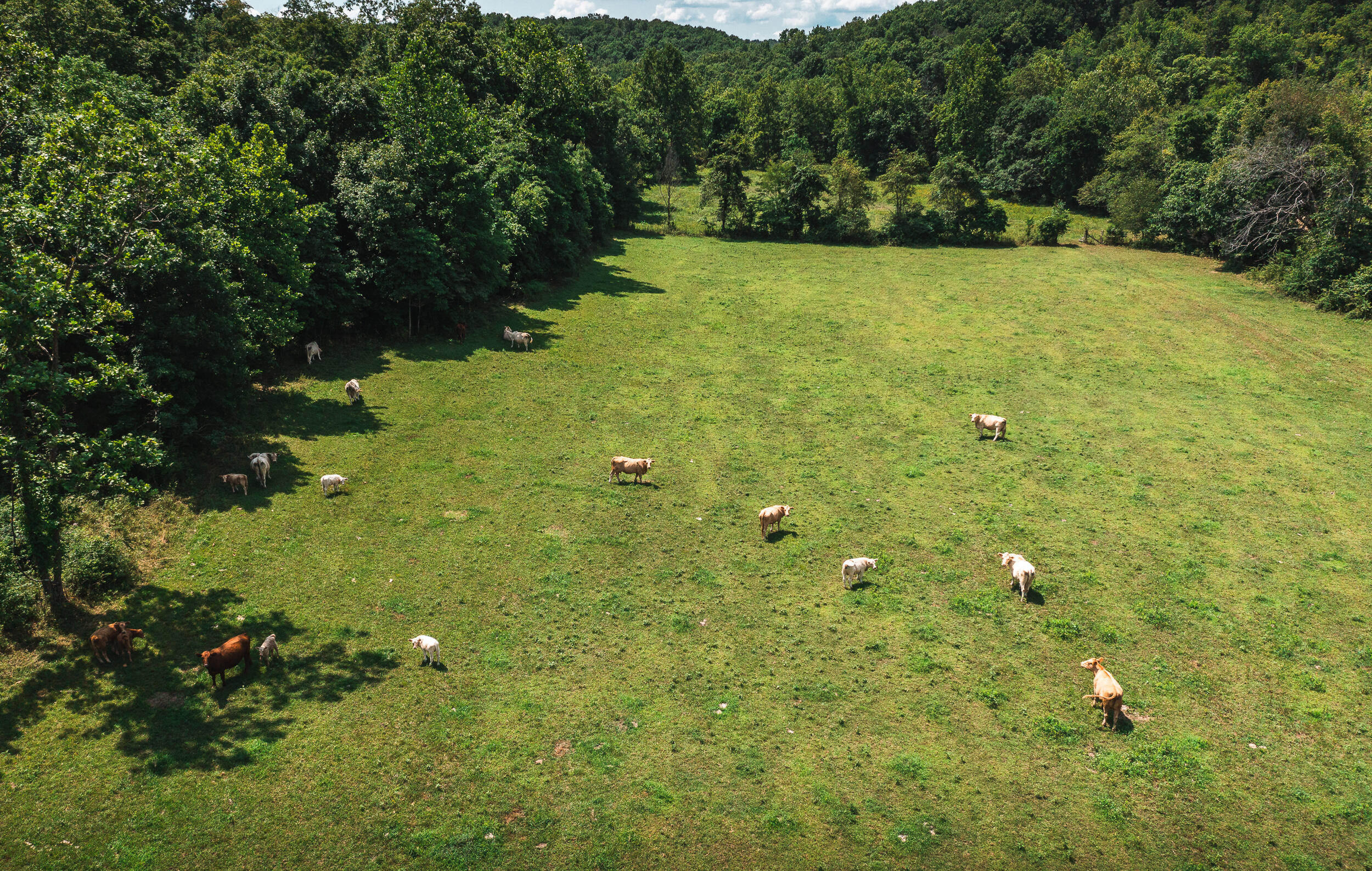 N/A - Farm