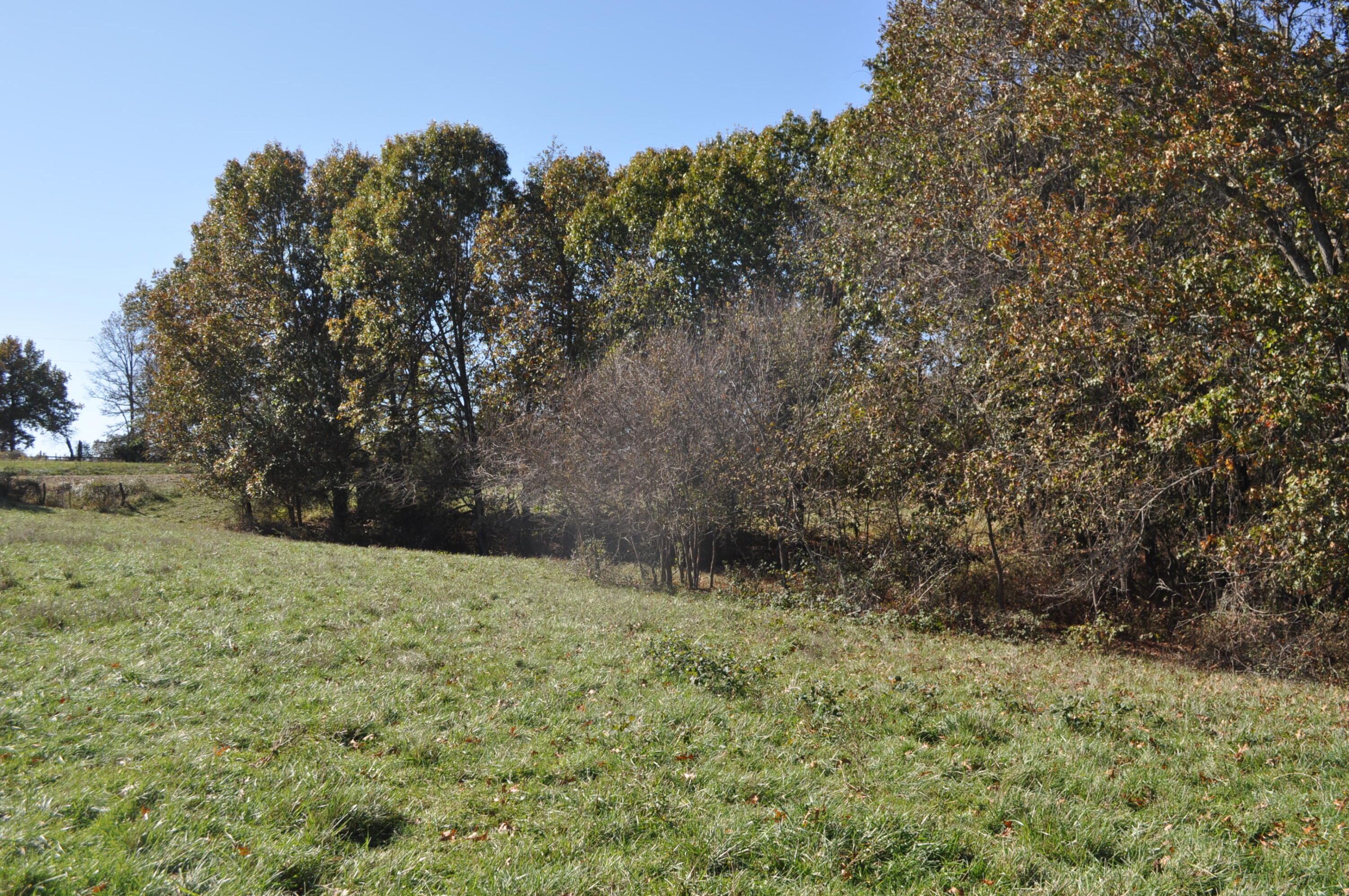 Great mostly wooded 8+/- acres located South of Billings on Hwy M. This large lot offers great mature trees for privacy still being close to town. 2 Small ponds on the south portion of the property provide for livestock water or fishing. Great building spot.