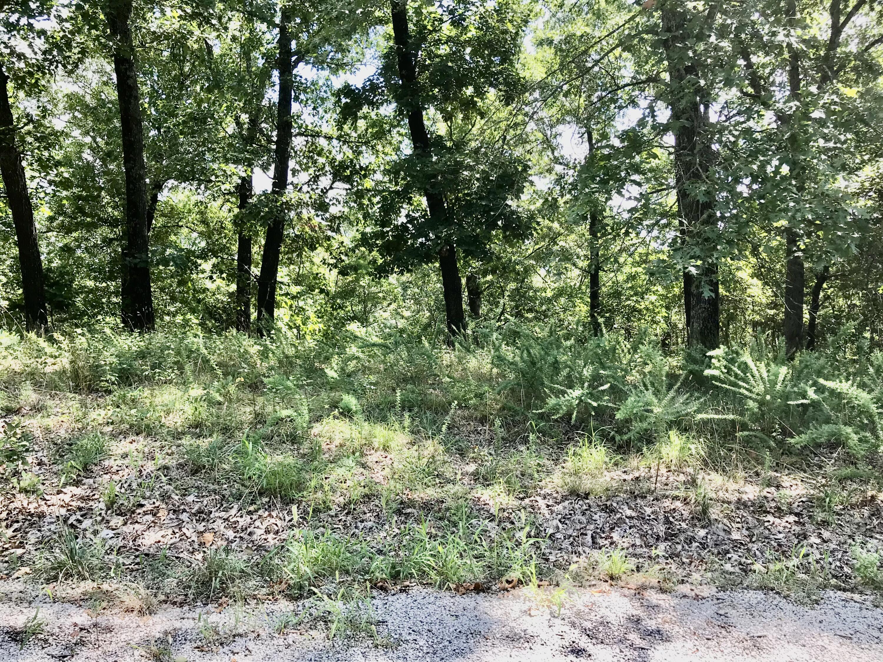 Be sure to check out this lot in the quiet, serene subdivision of Hideaway Estates with paved streets and underground electric down Y Hwy before you buy. This lot is not too far from Hideaway Marina. It's about 20 minutes back to Branson West and a 10 drive to a great convenience store. There's a $250 yearly HOA fee for road maintenance. If you are looking for a little bit of elbow room and want a little piece of paradise all your own, be sure to come take a look.