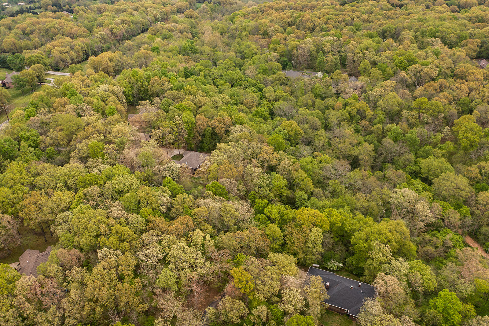 Pebble Creek - Residential